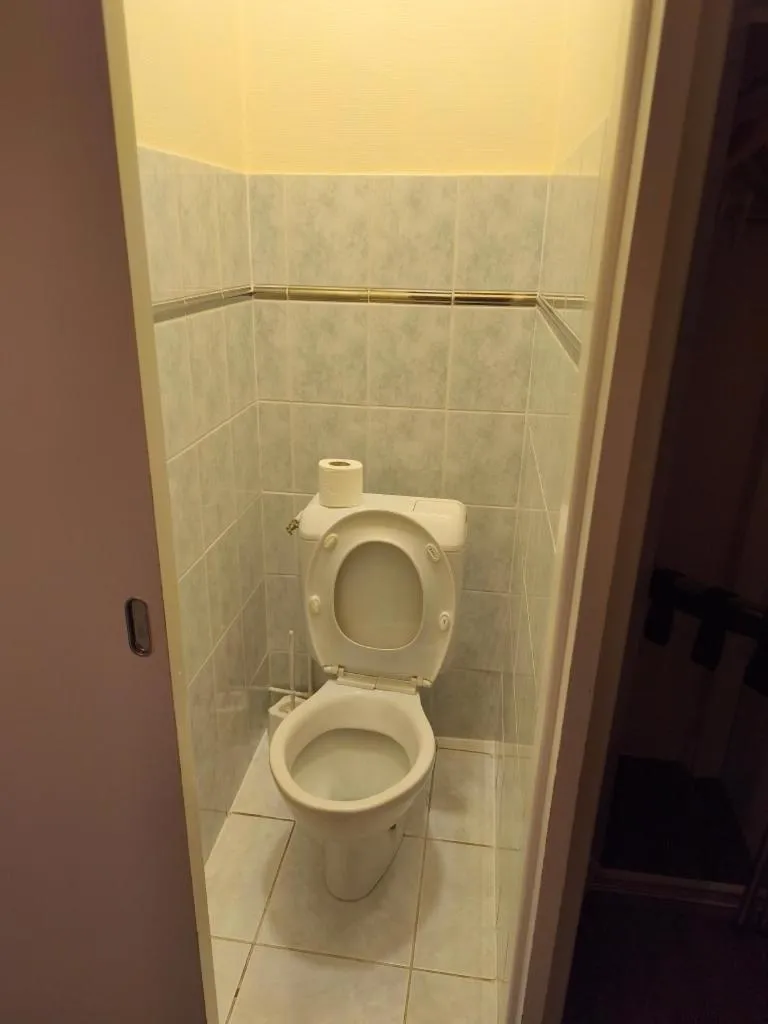 Toilet in Le Parc aux Huîtres Hôtel Restaurant