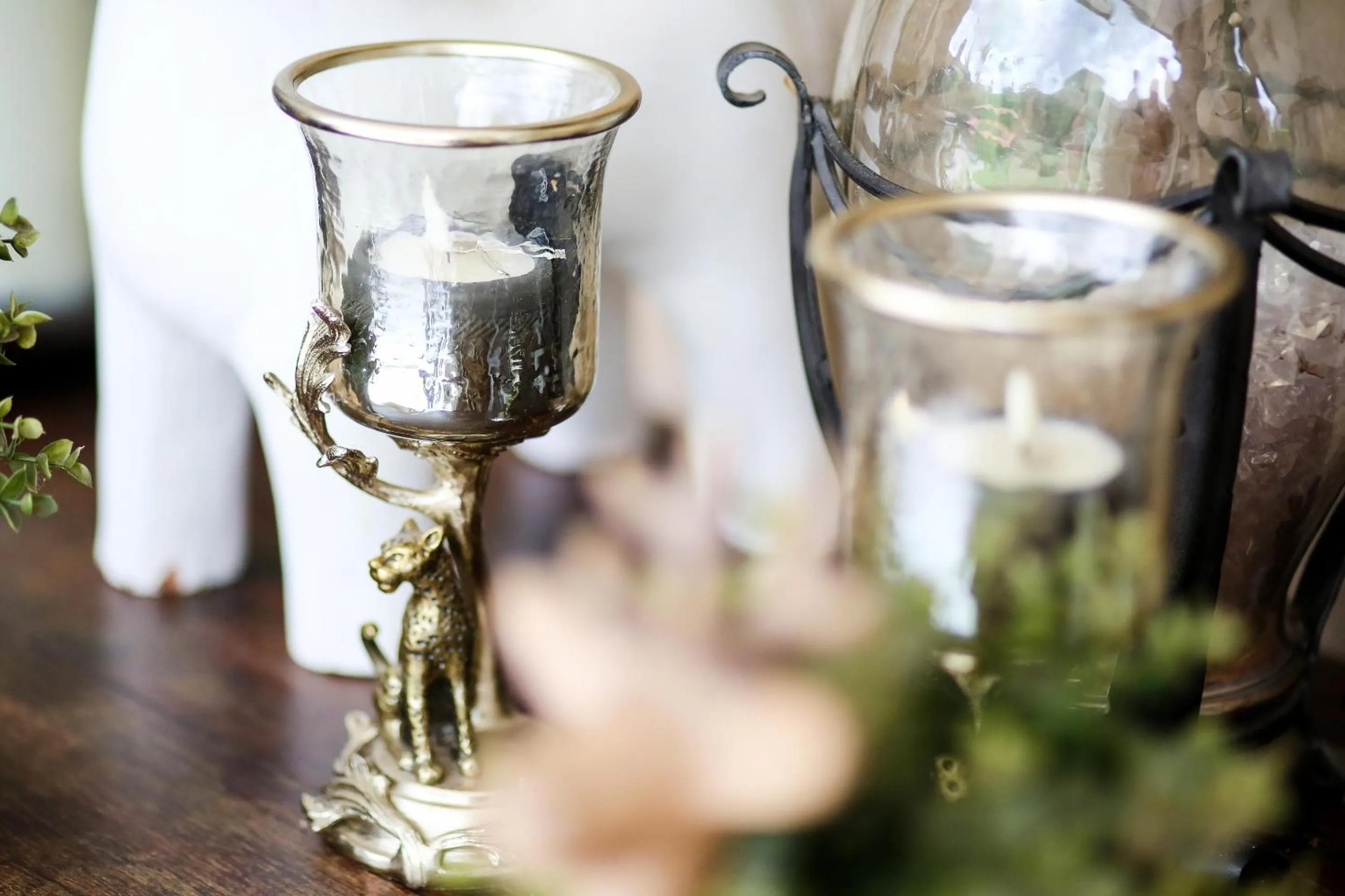 Property building in Tiger House River Kwai