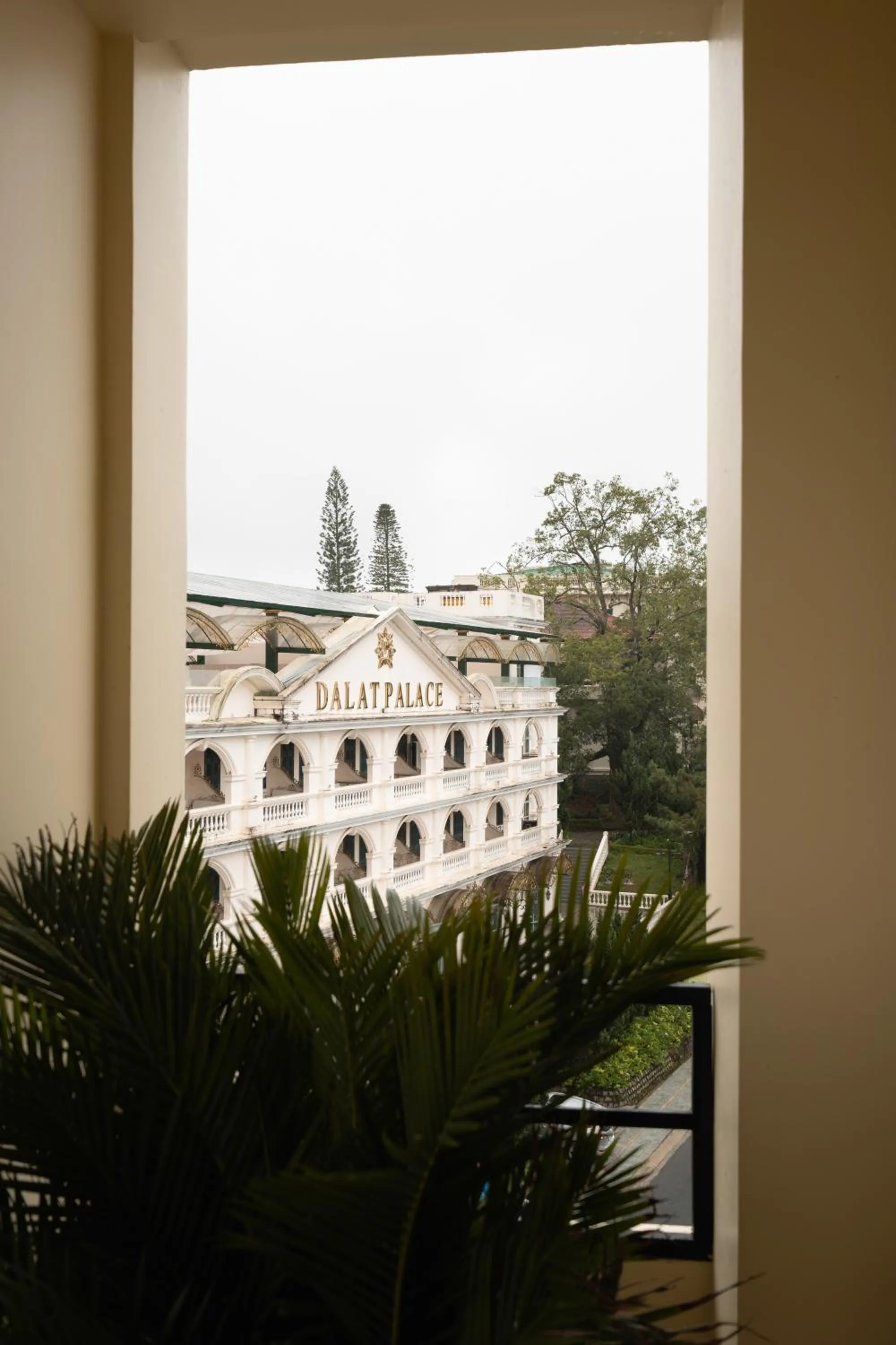 Natural landscape in Lumina Hotel Da Lat Central