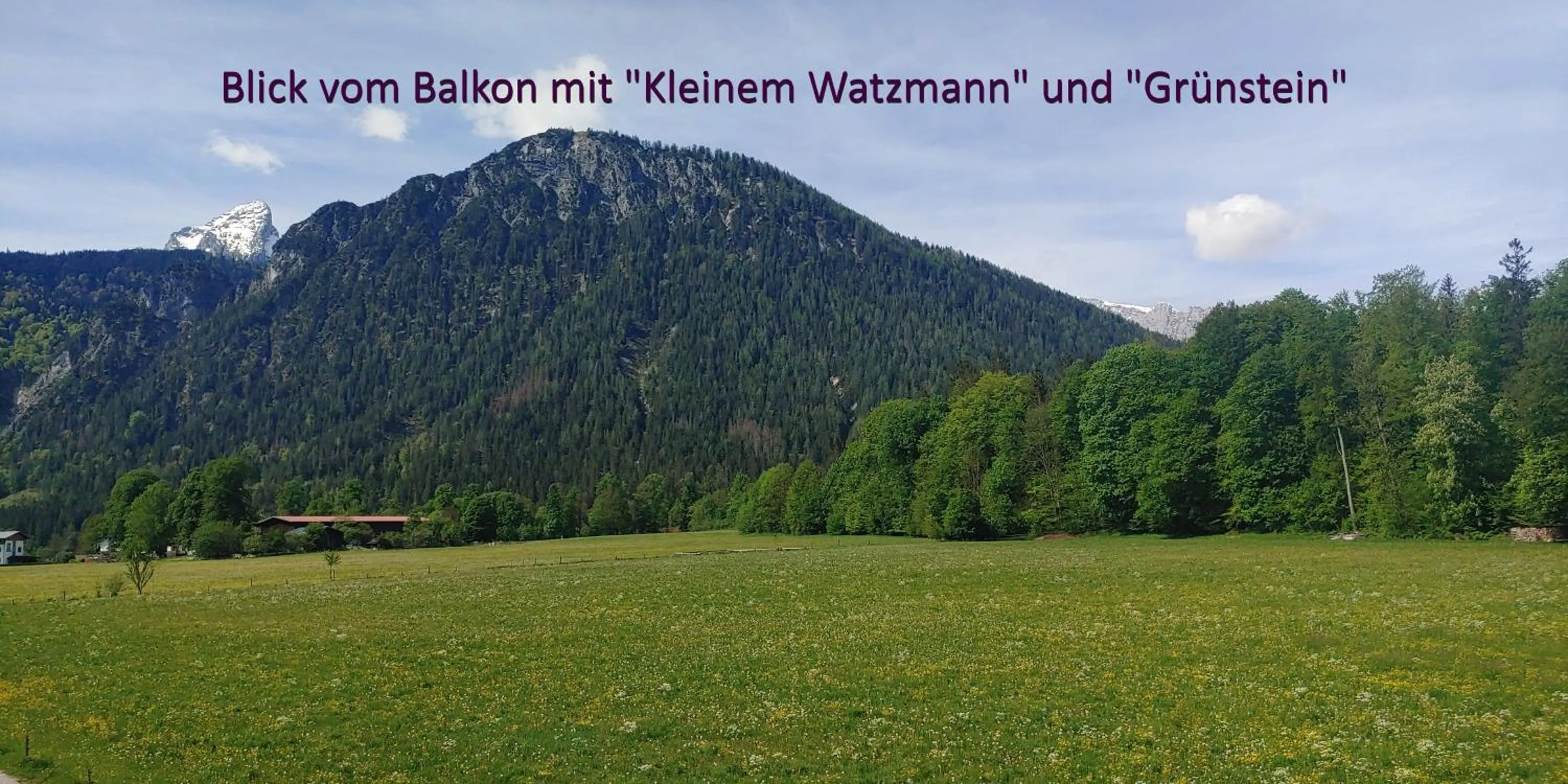 Mountain view in Ferienwohnungen Andrea