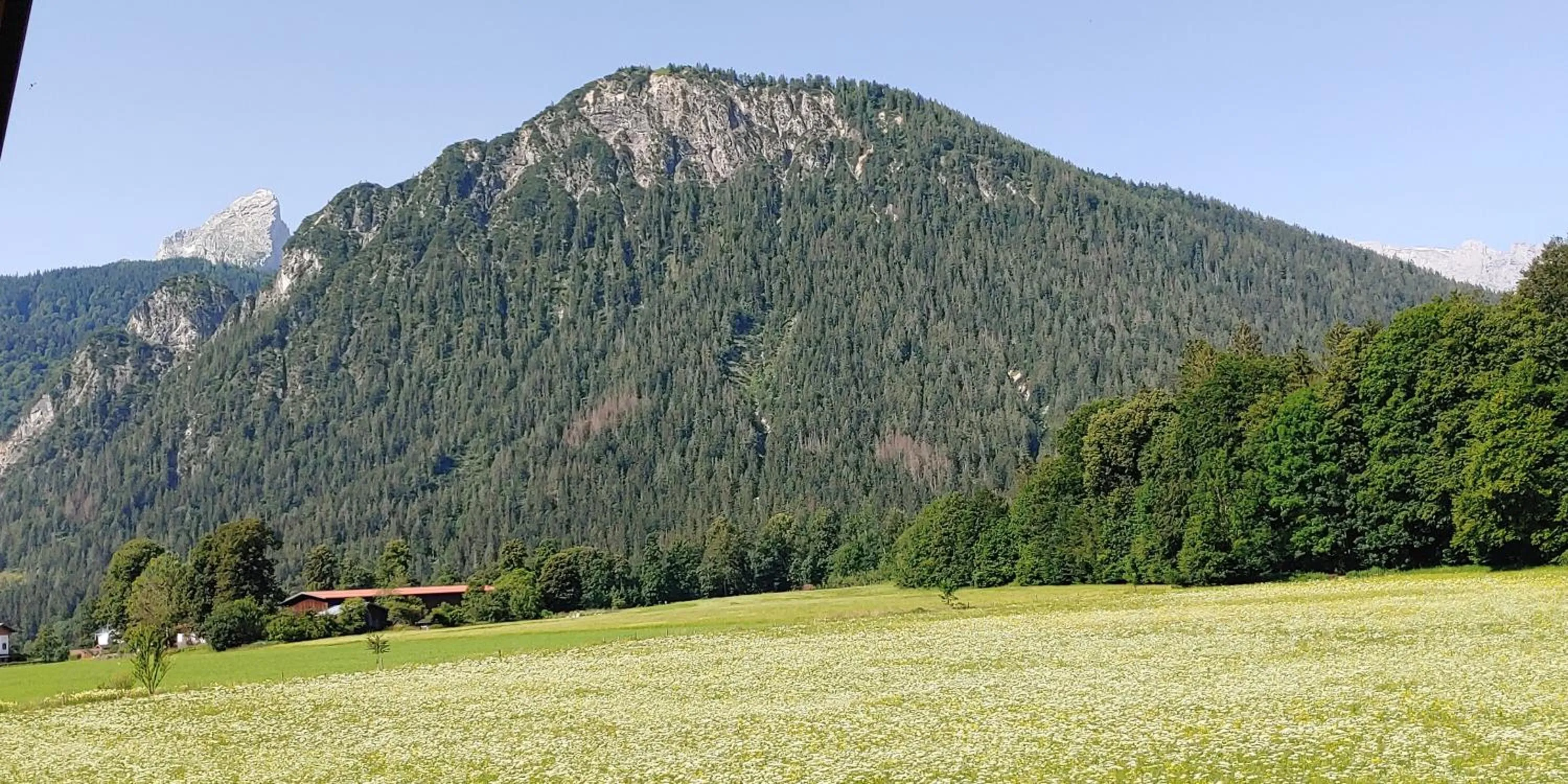 Mountain view in Ferienwohnungen Andrea