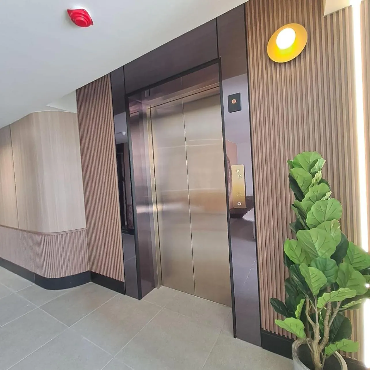 elevator in Urban Inn, Myra Meranti