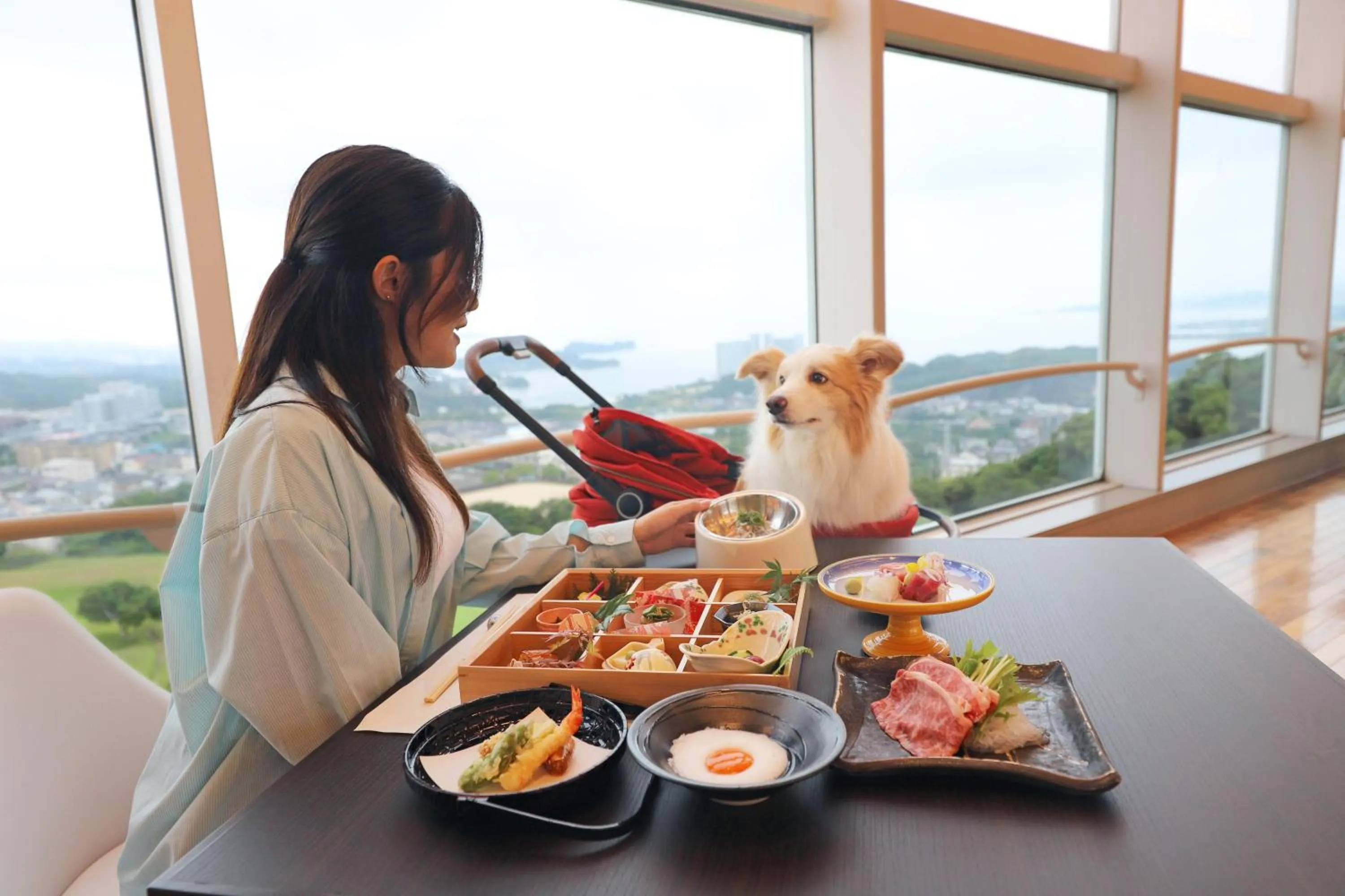 Restaurant/places to eat in Nanki Shirahama Dog Paradise