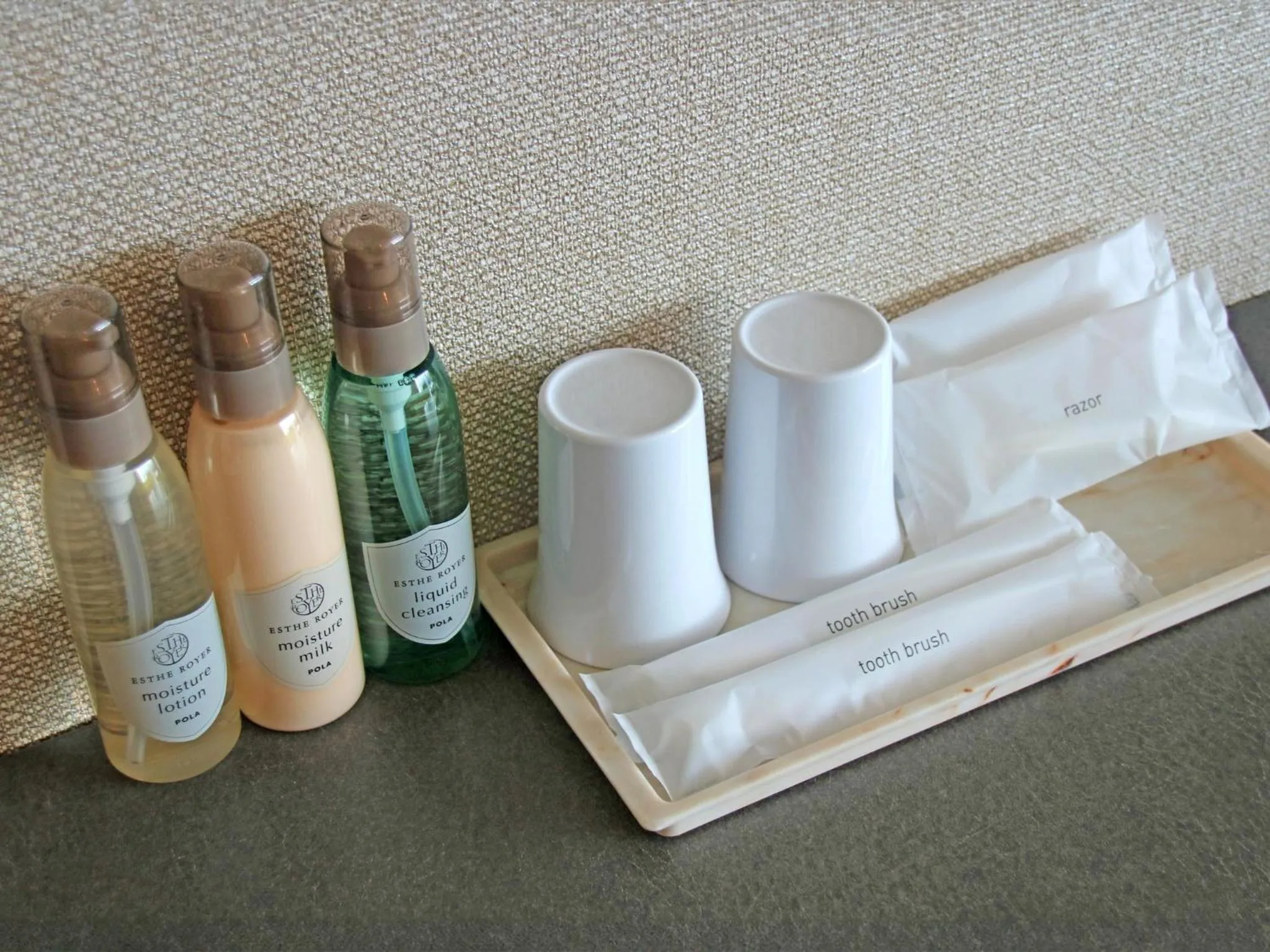 Photo of the whole room in Nanki Shirahama Dog Paradise