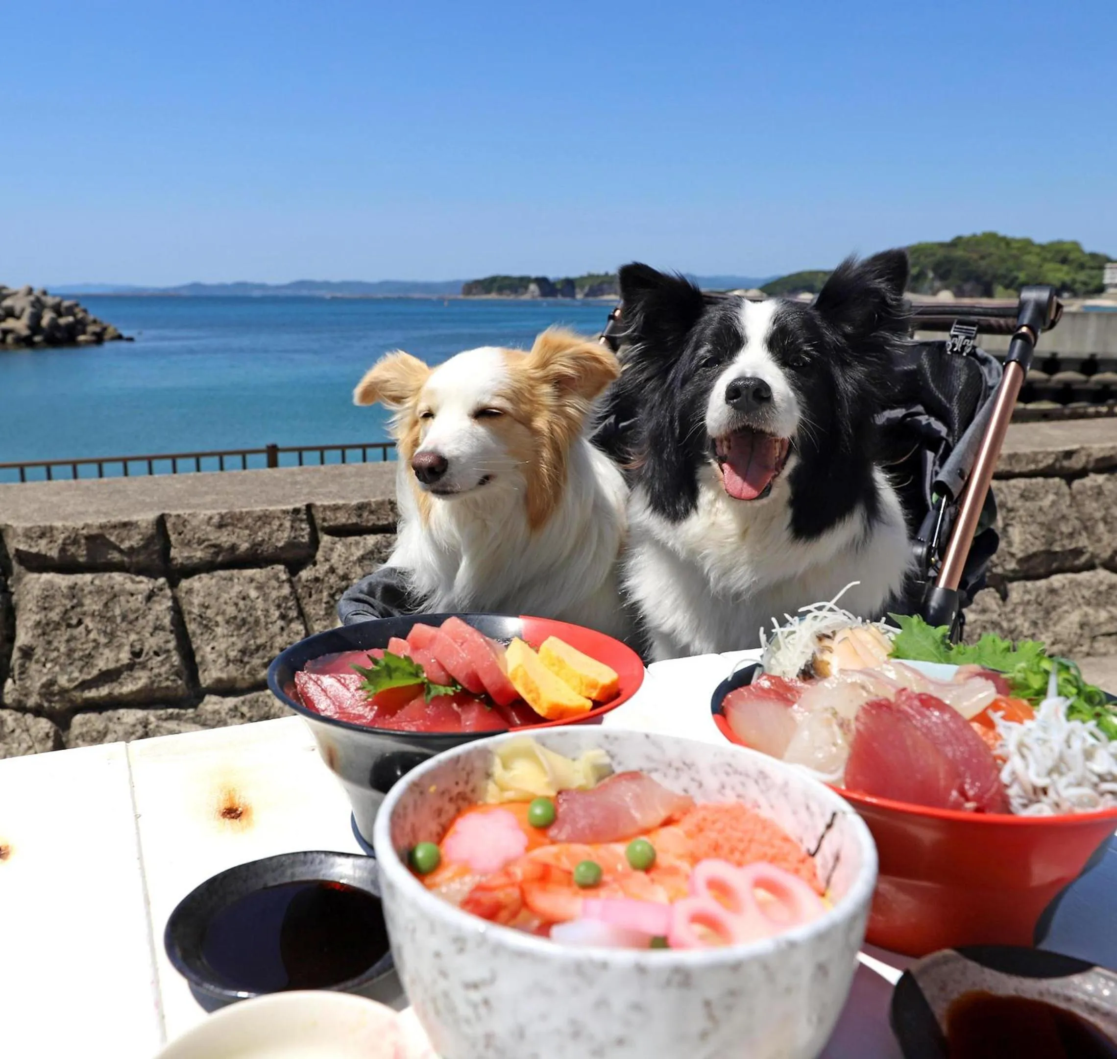 Nearby landmark in Nanki Shirahama Dog Paradise