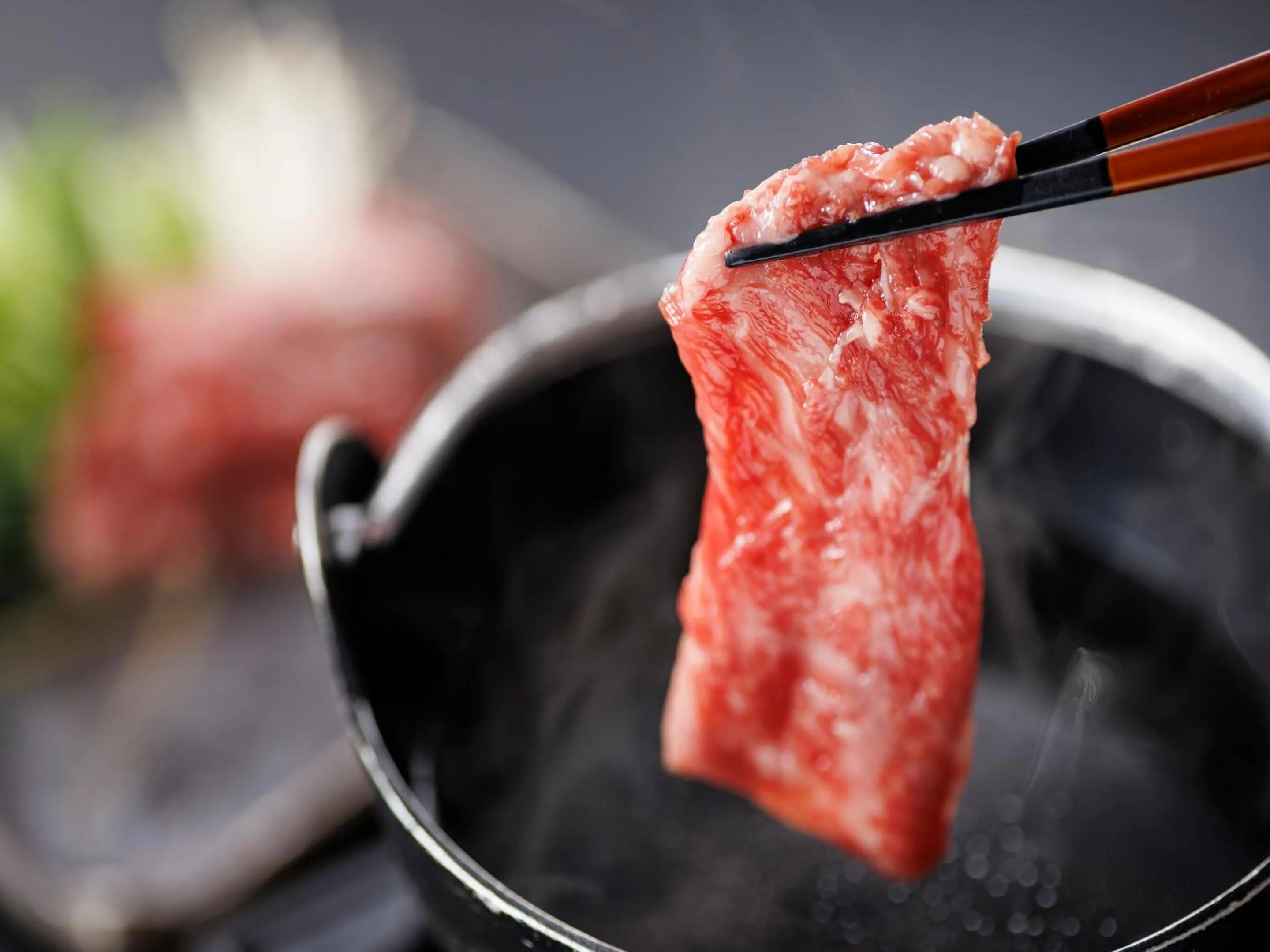 Dinner in Nanki Shirahama Dog Paradise