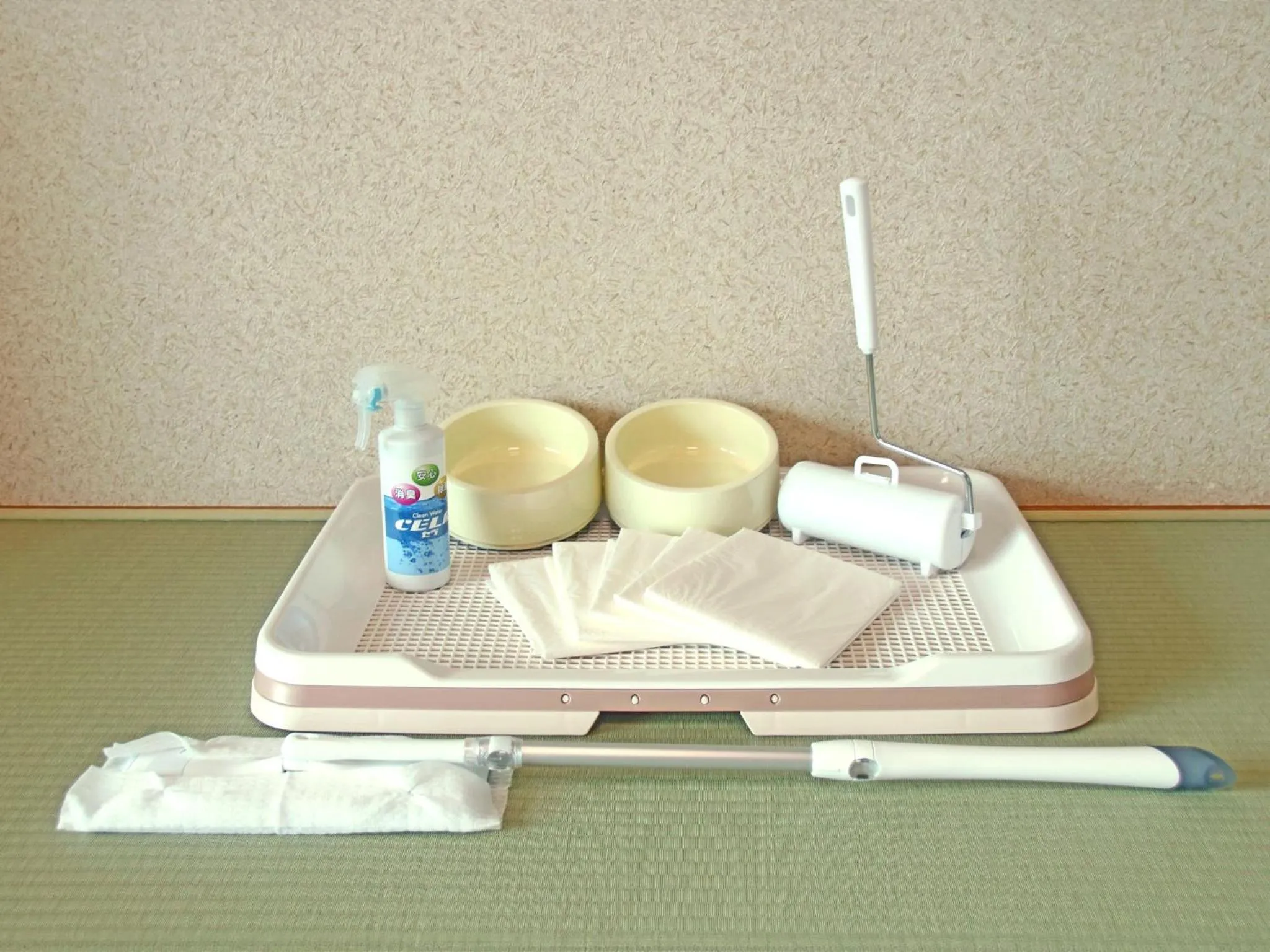 Photo of the whole room in Nanki Shirahama Dog Paradise