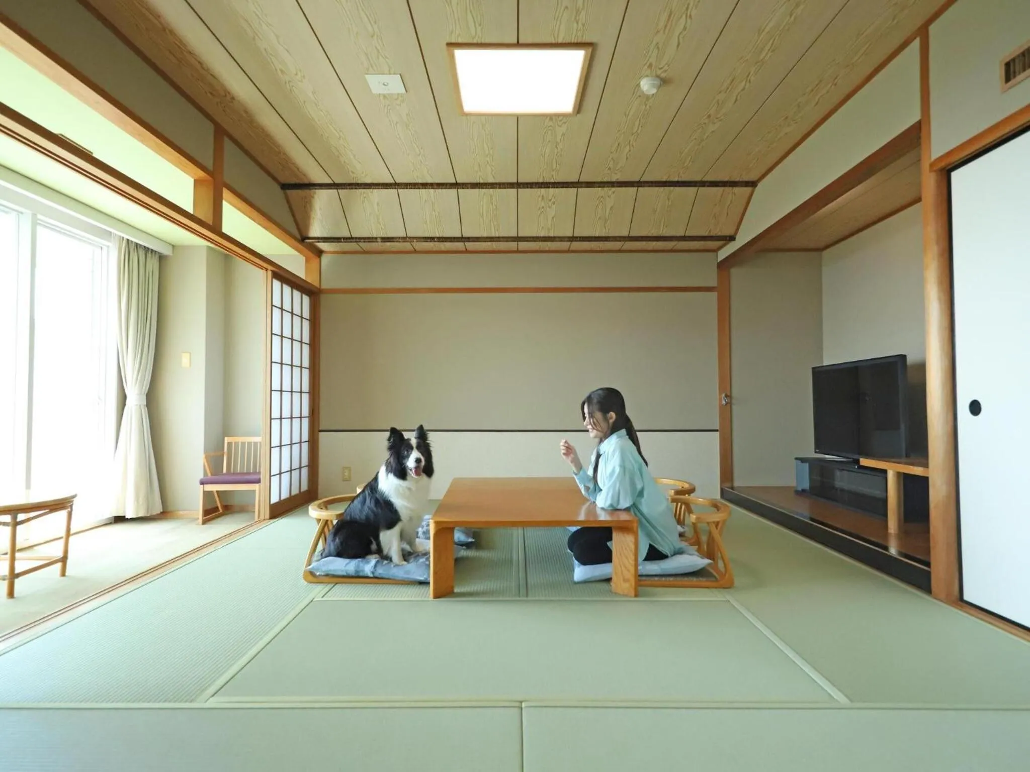 Photo of the whole room in Nanki Shirahama Dog Paradise