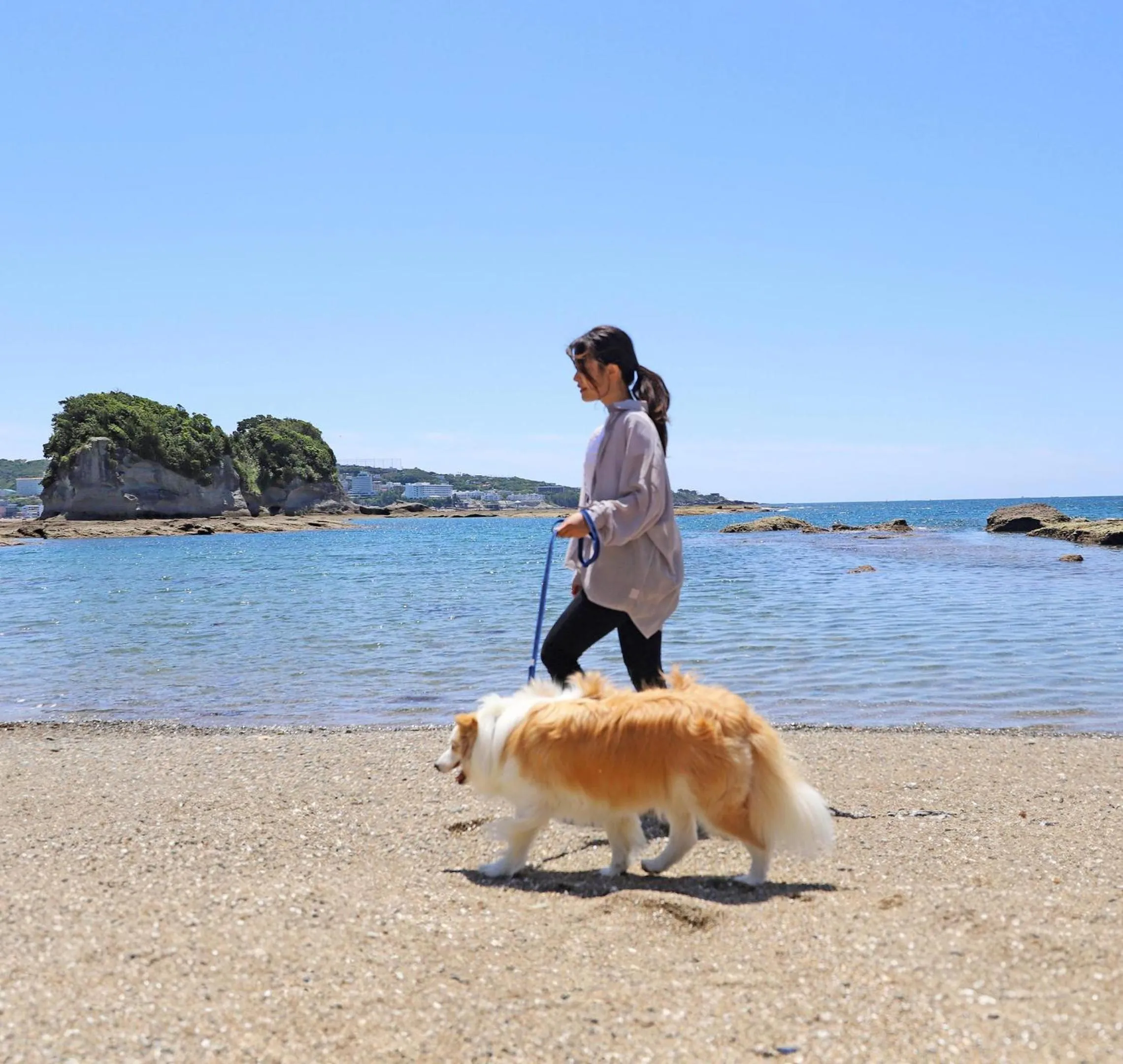 Nearby landmark in Nanki Shirahama Dog Paradise