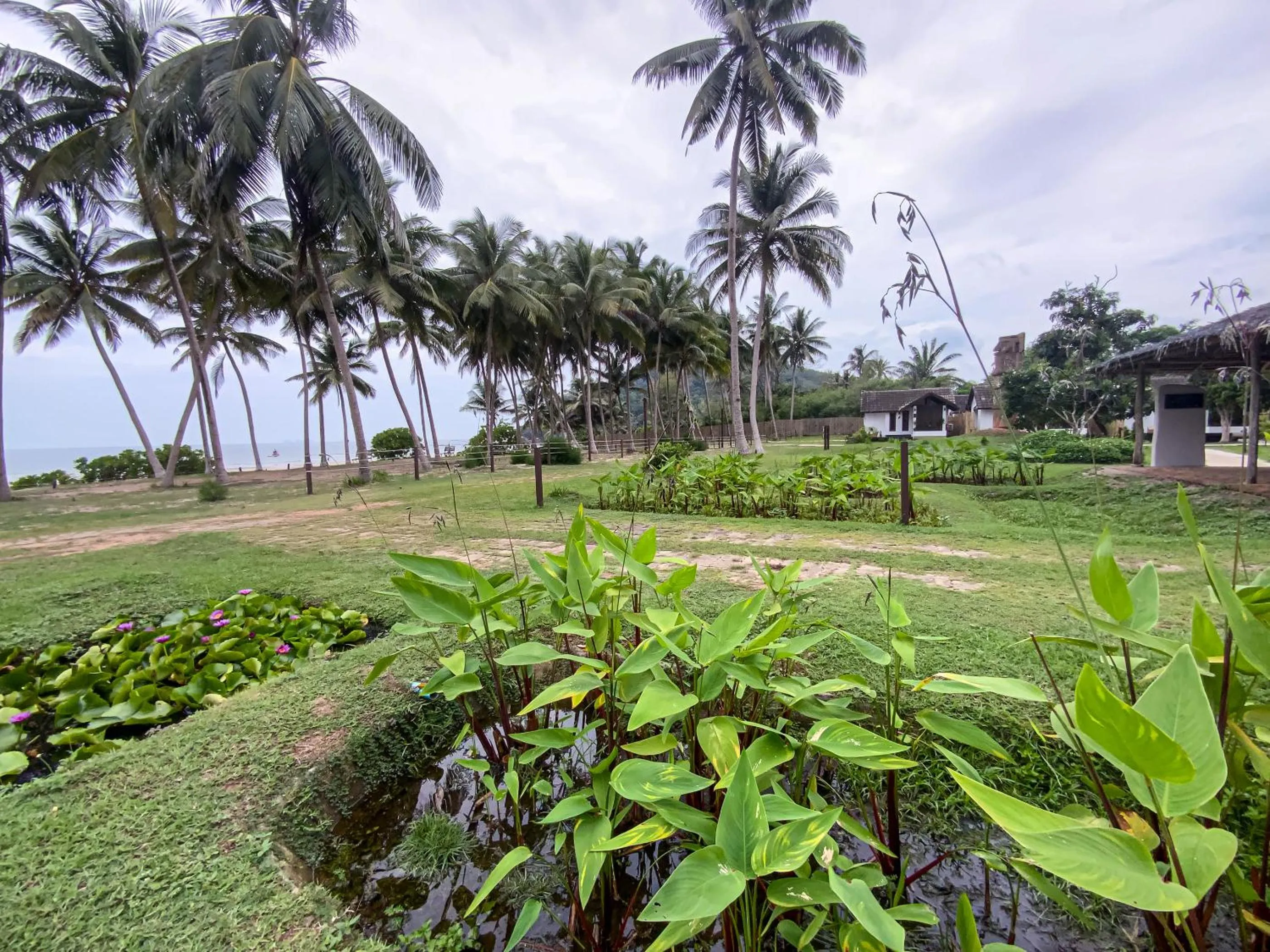 Garden view in Chumphon Cabana Resort