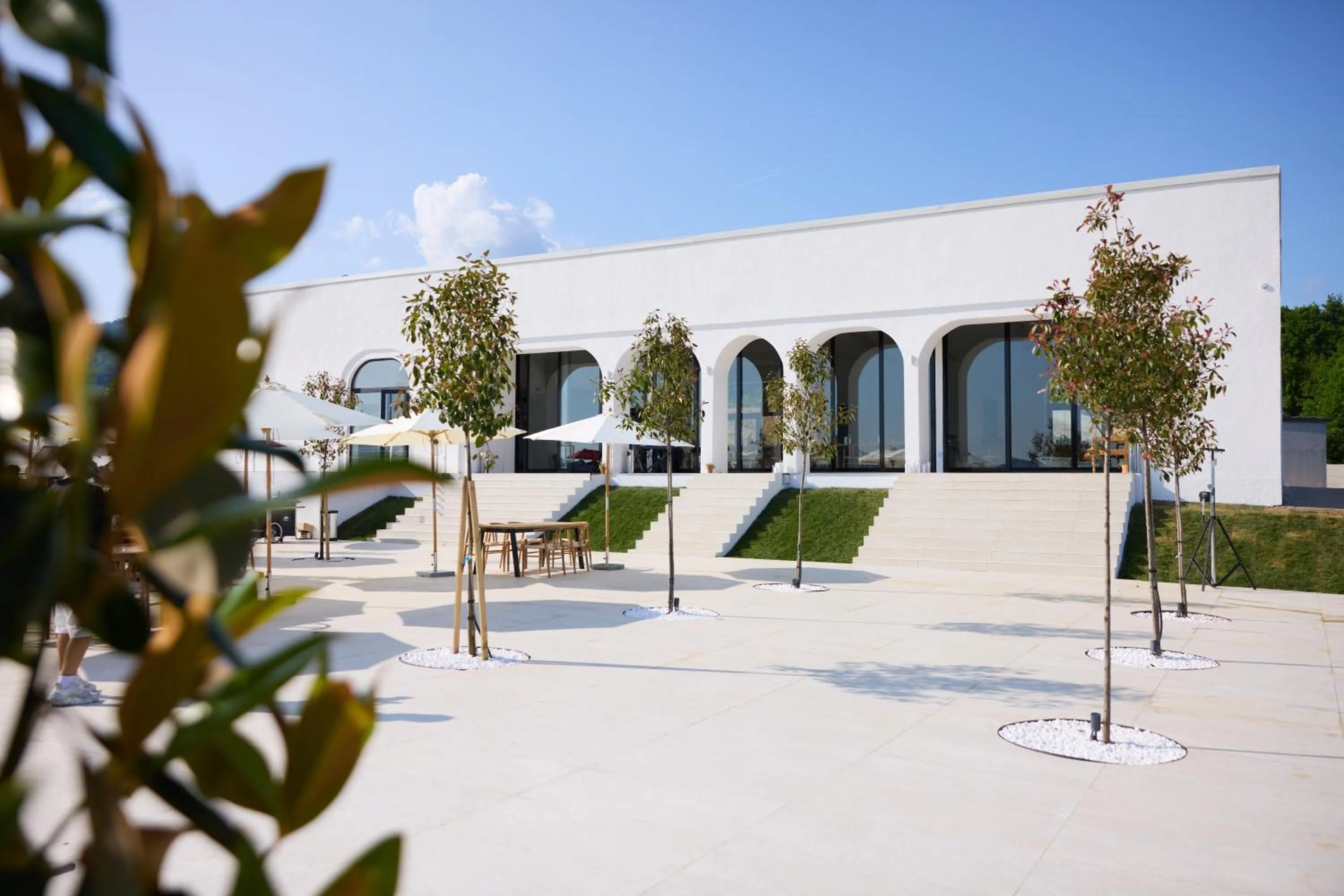 Day in Moon Valley Comarnic