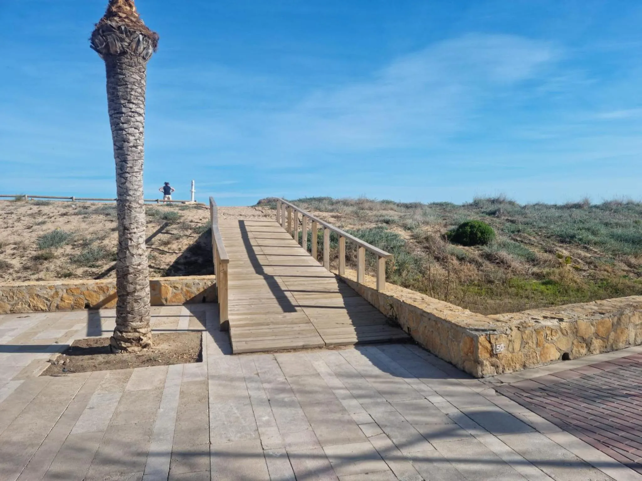 APARTAMENTO LA PALMERA