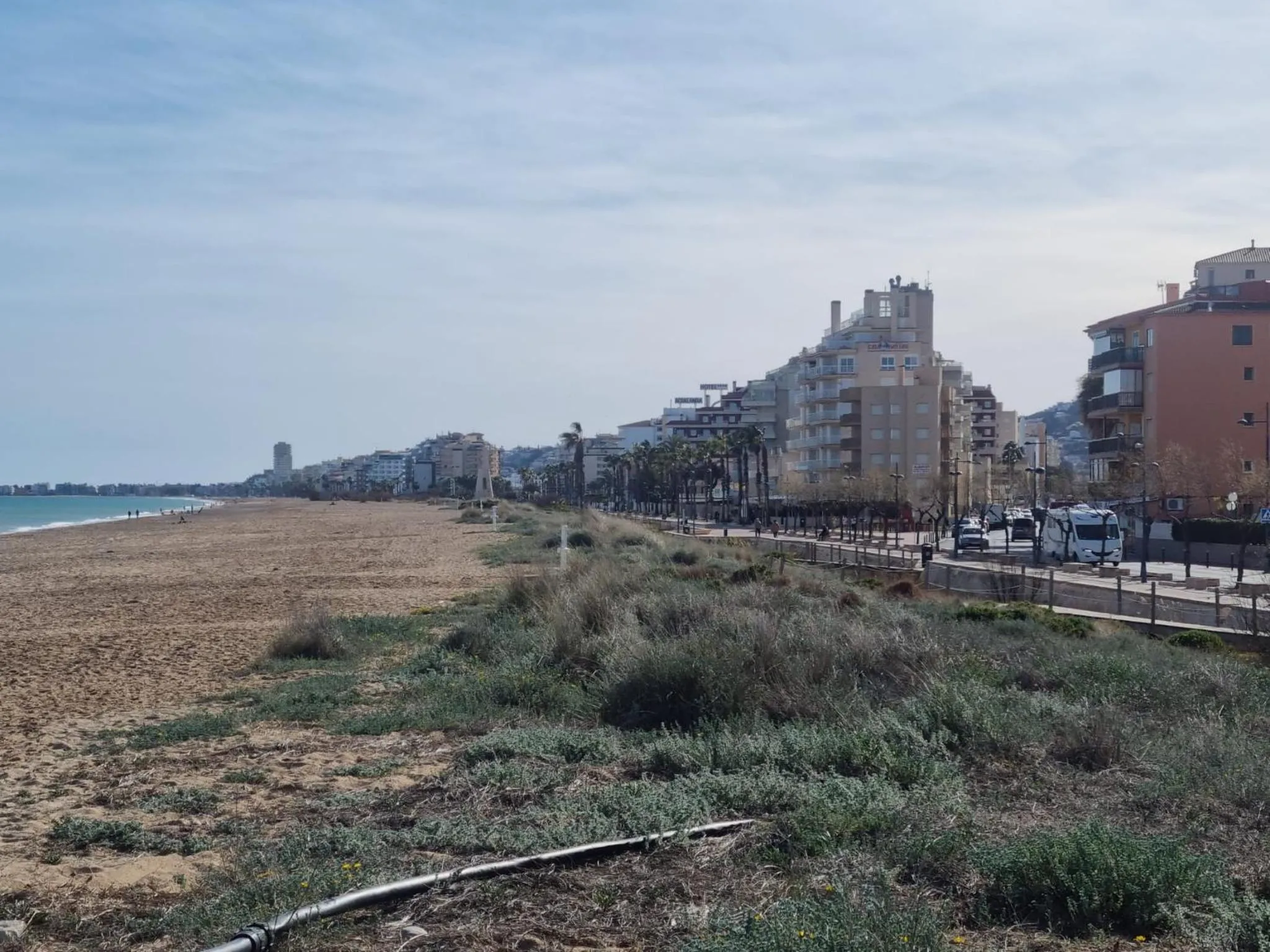 APARTAMENTO LA PALMERA