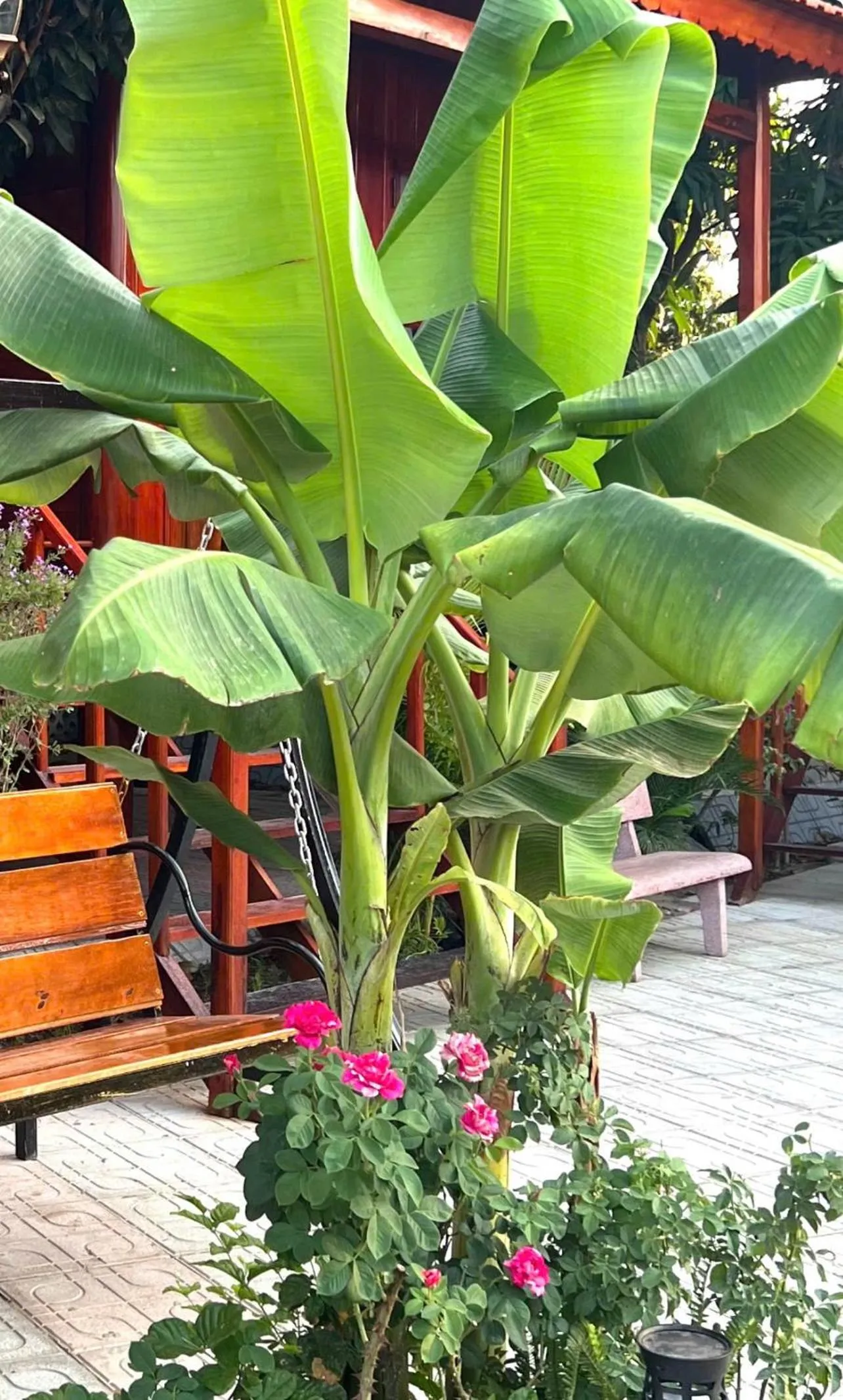 Day in Wooden Homestay LAGI