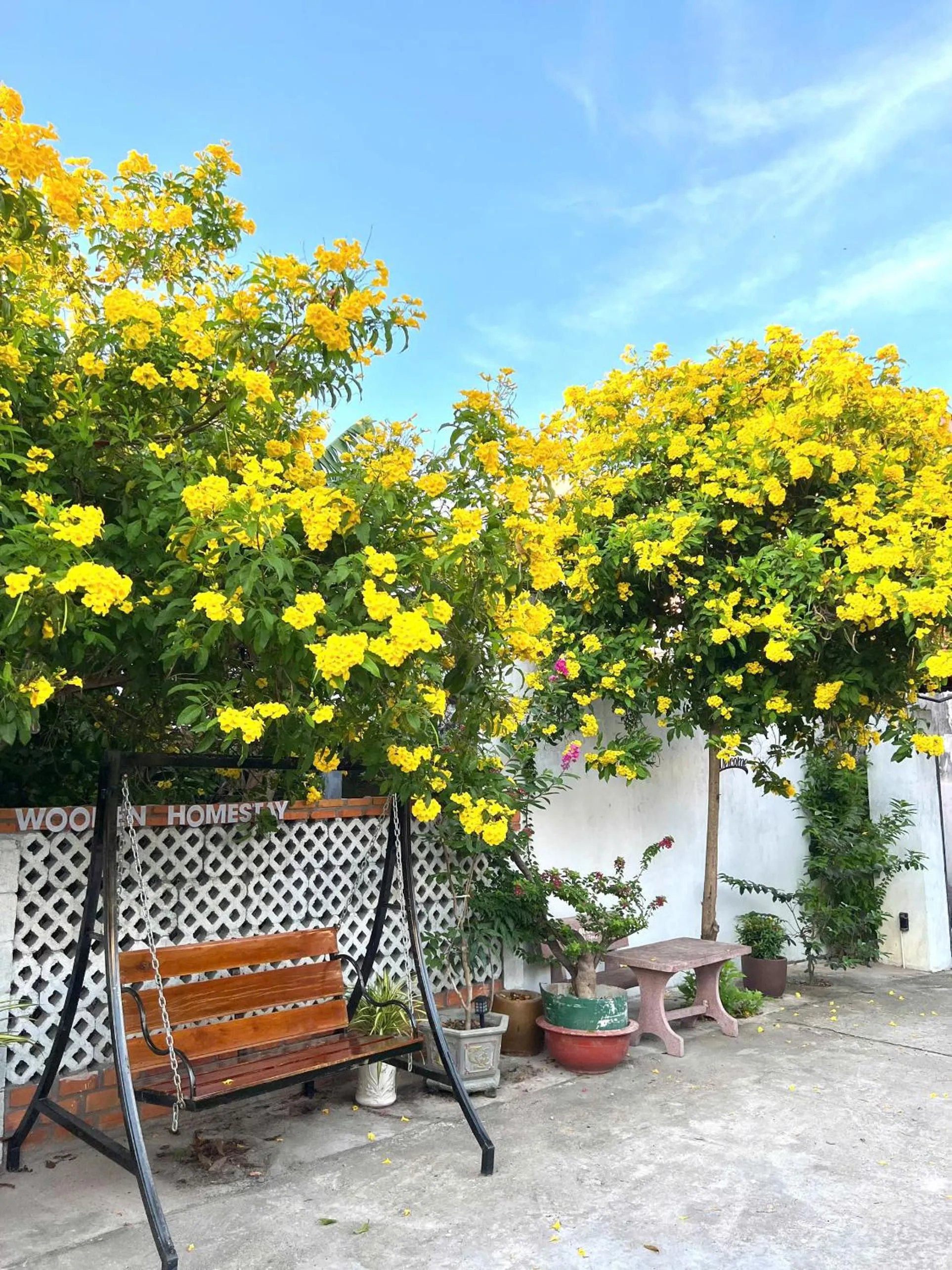 Natural landscape in Wooden Homestay LAGI