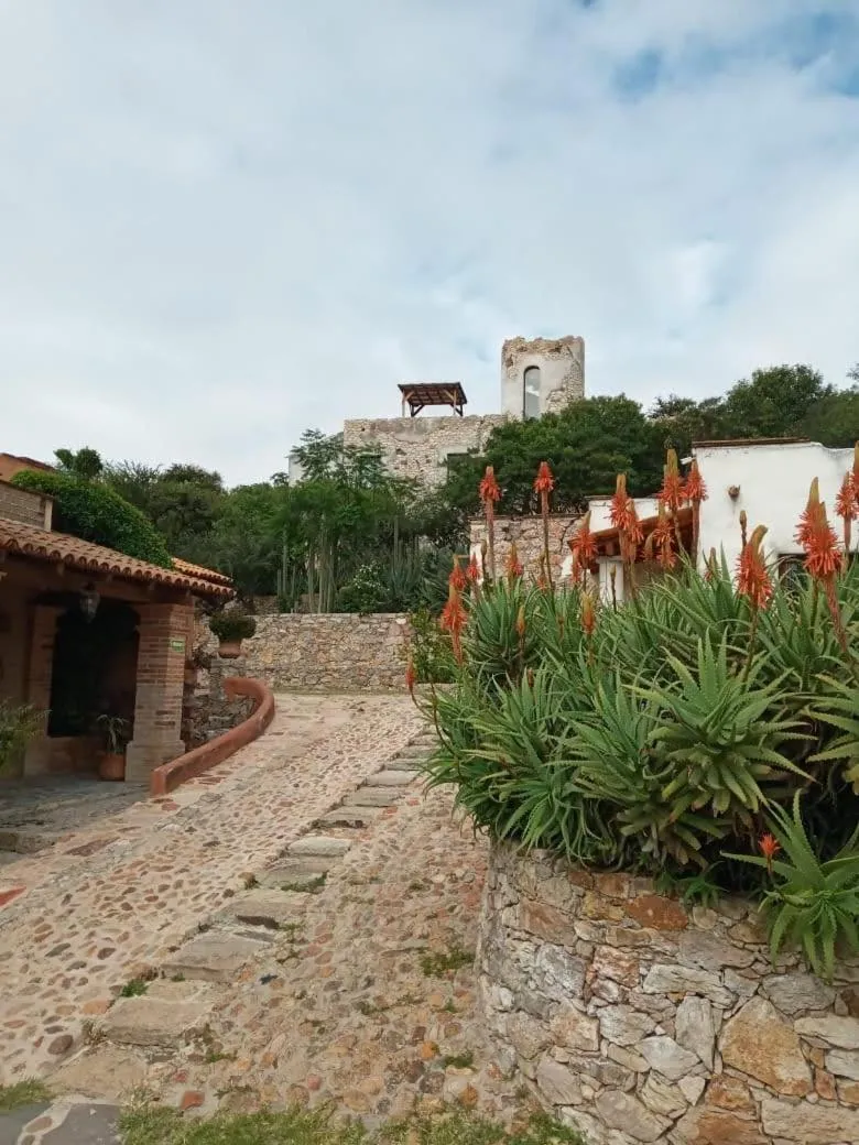 Garden in Centenario Los Arroyitos