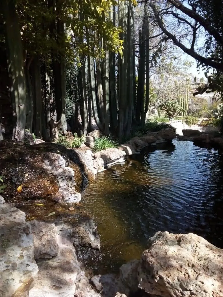 Garden in Centenario Los Arroyitos