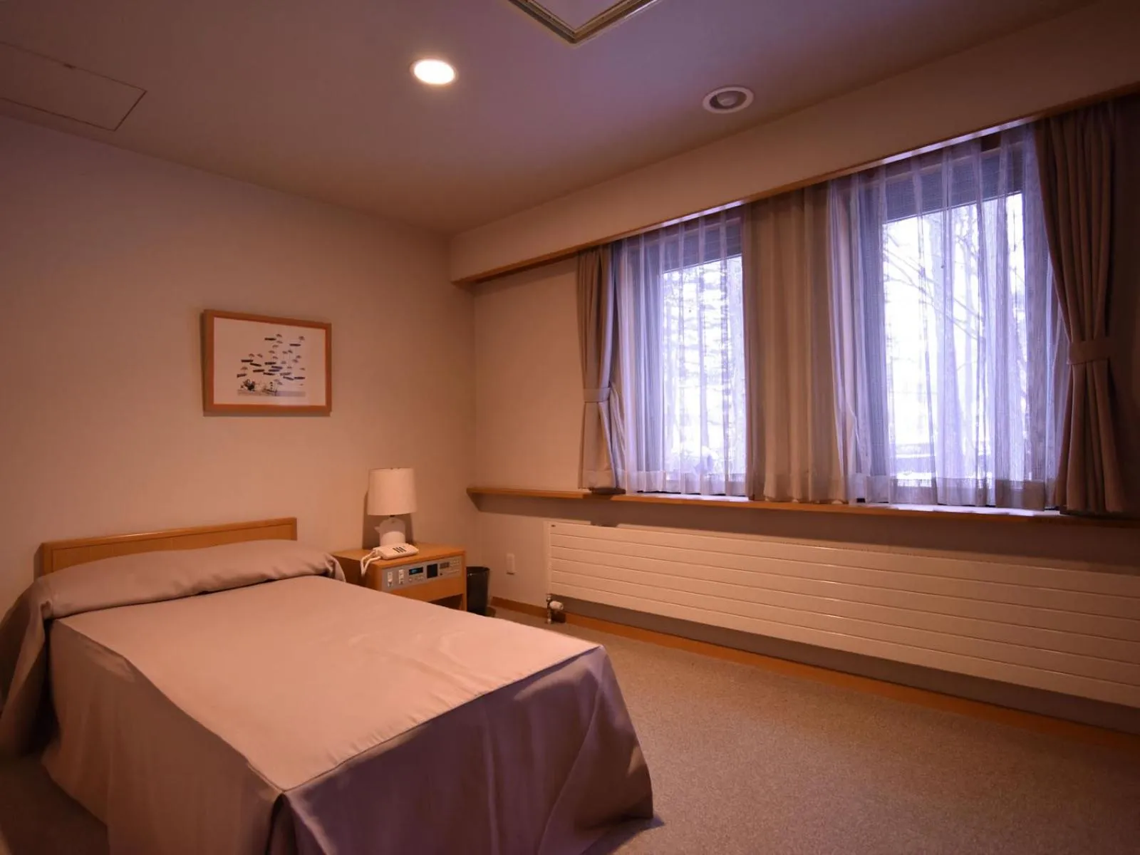 Deluxe Single Room in KARUIZAWA CLUB OF ART