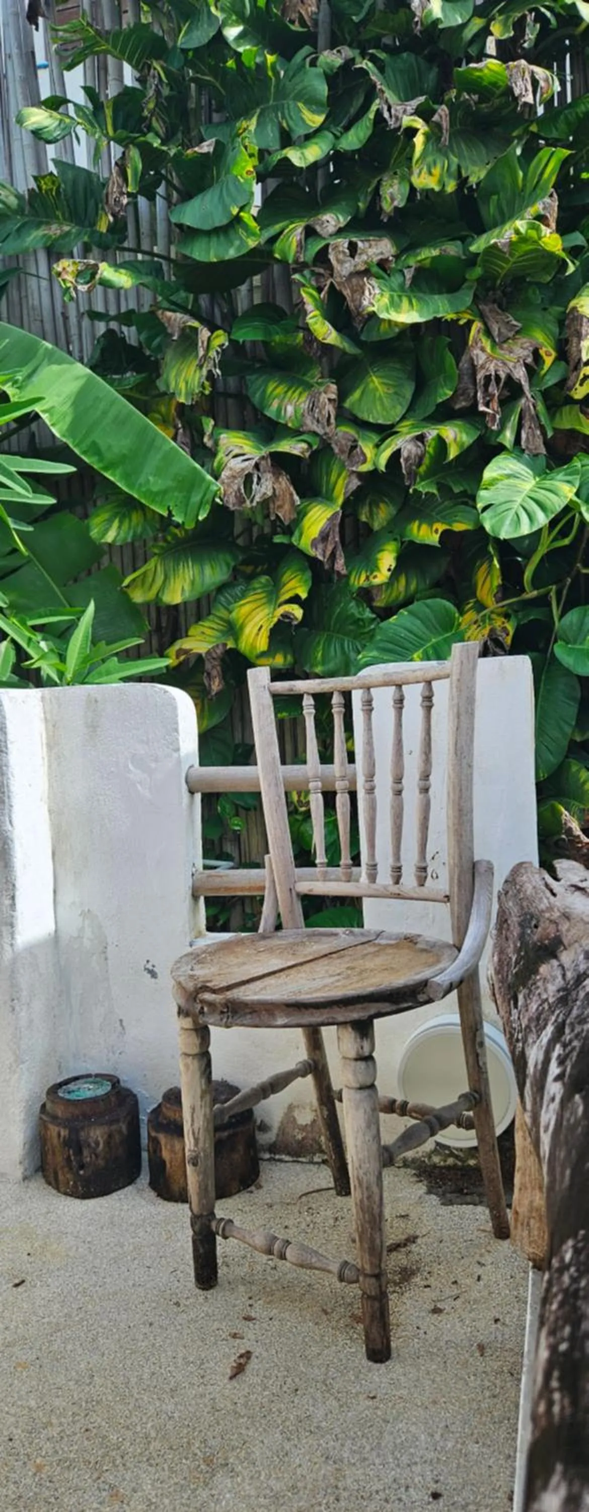 Spring in The Hip House Villa Phuket