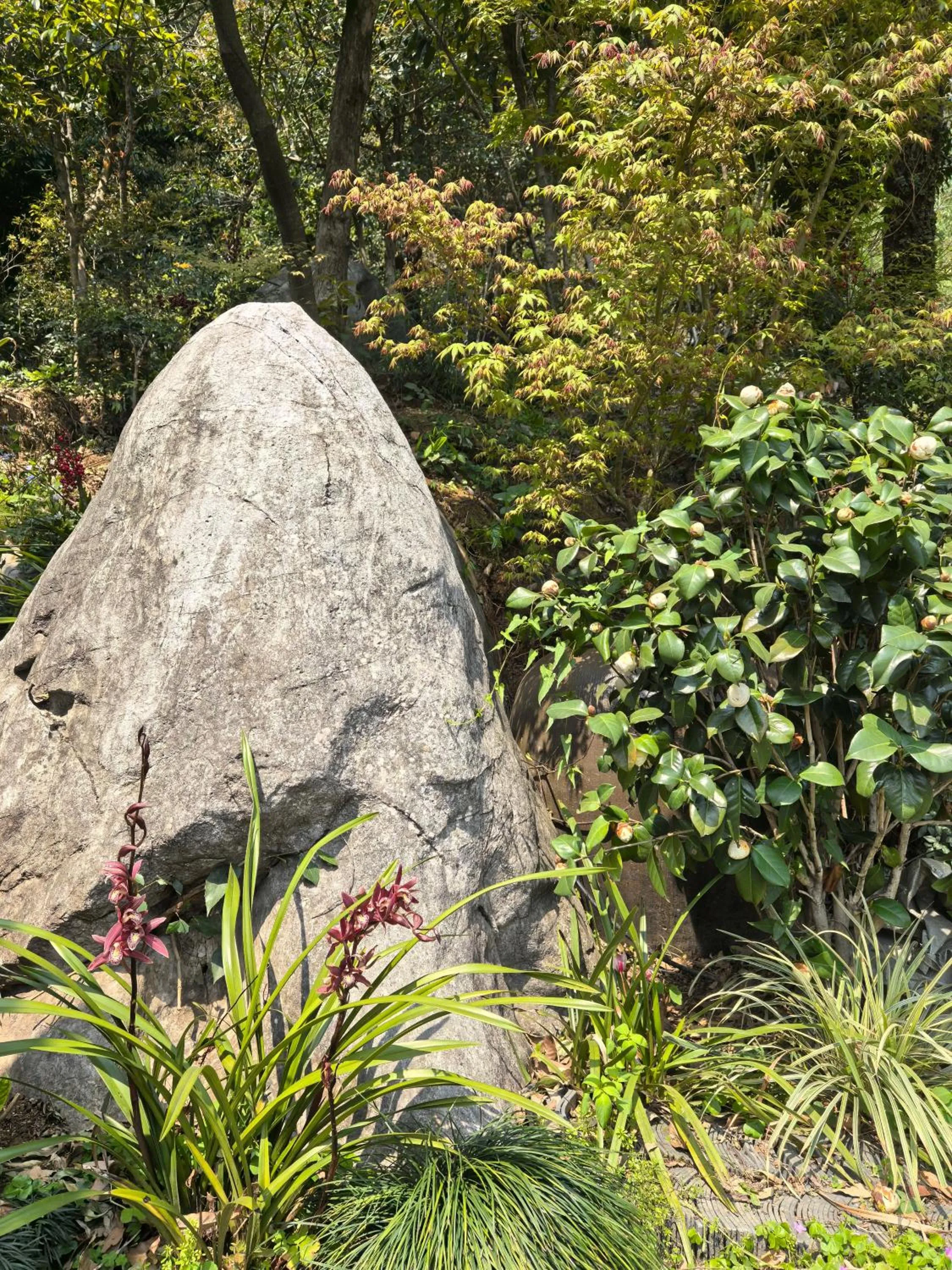 Natural landscape in He She Courtyard Free pick-up train station stay 3 nights