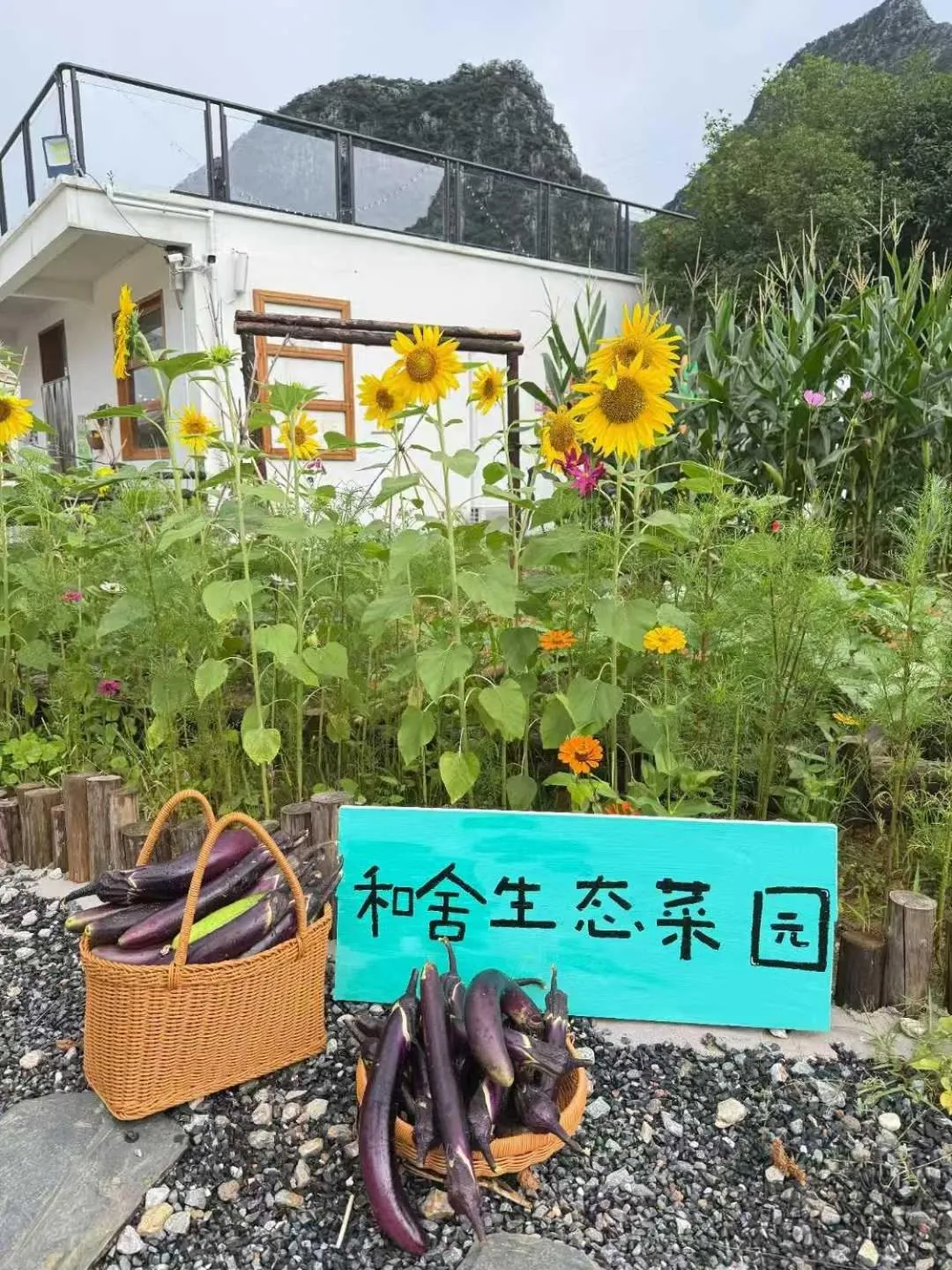 Spring in He She Courtyard Free pick-up train station stay 3 nights