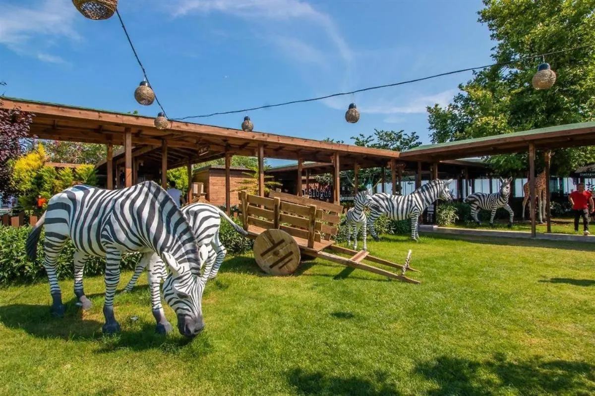 Garden in Avşar Boutique Hotel