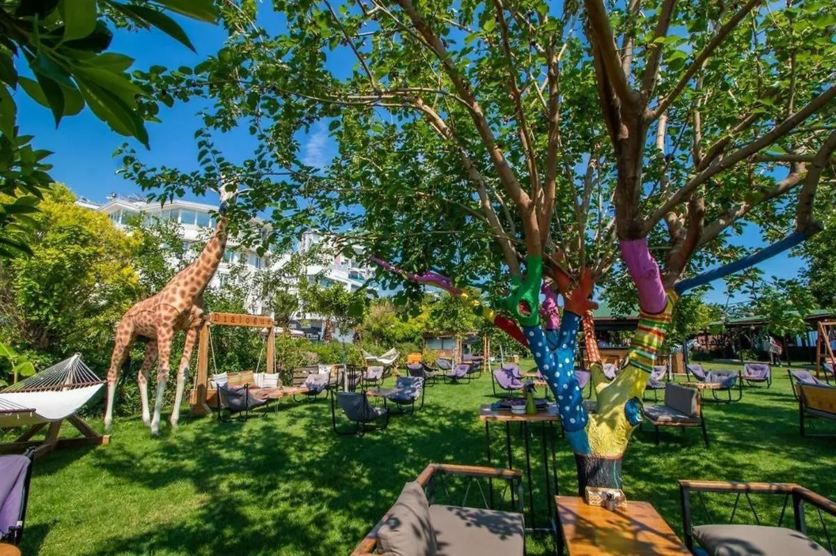 Garden in Avşar Boutique Hotel