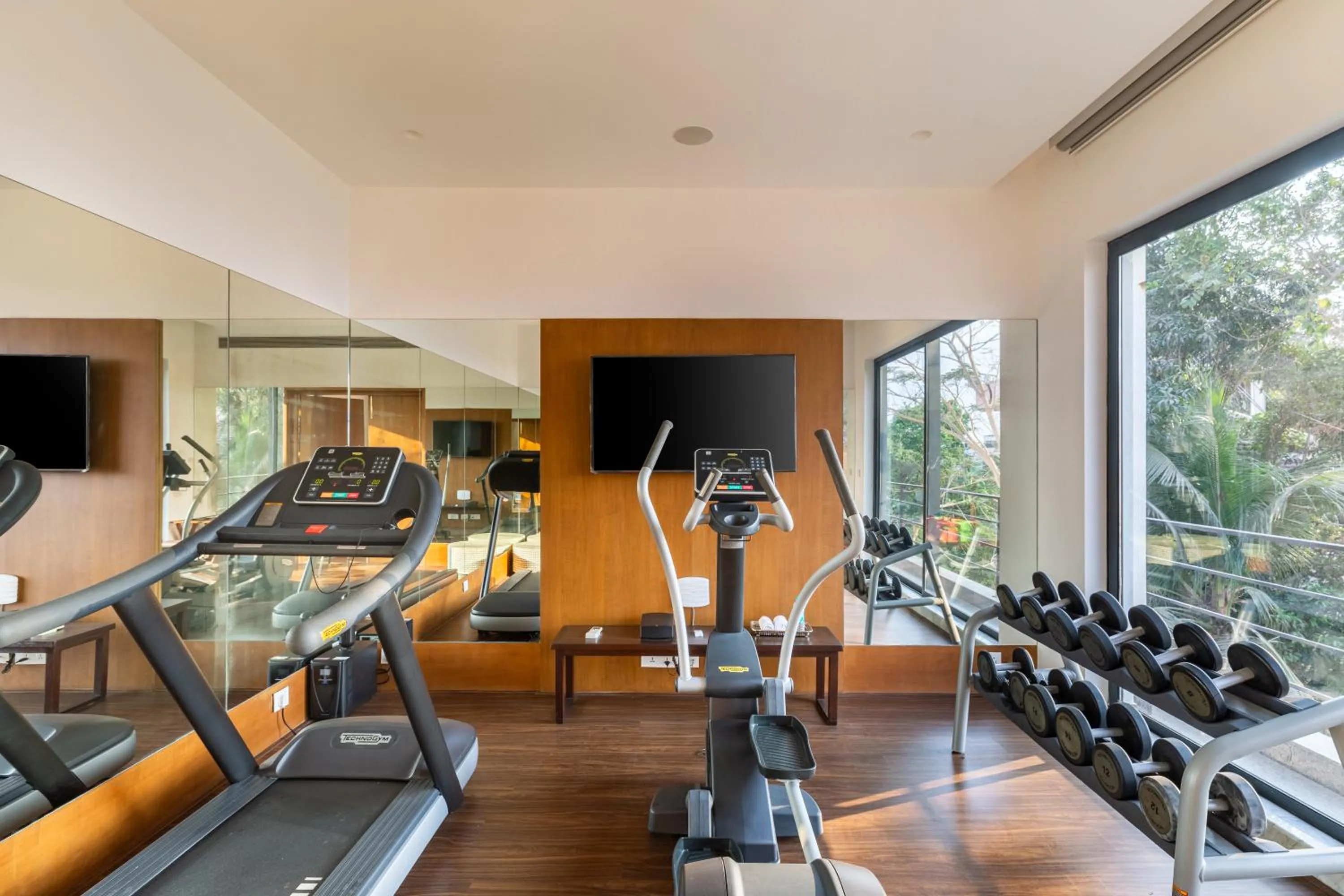 Amorzito by Solitaire Stays