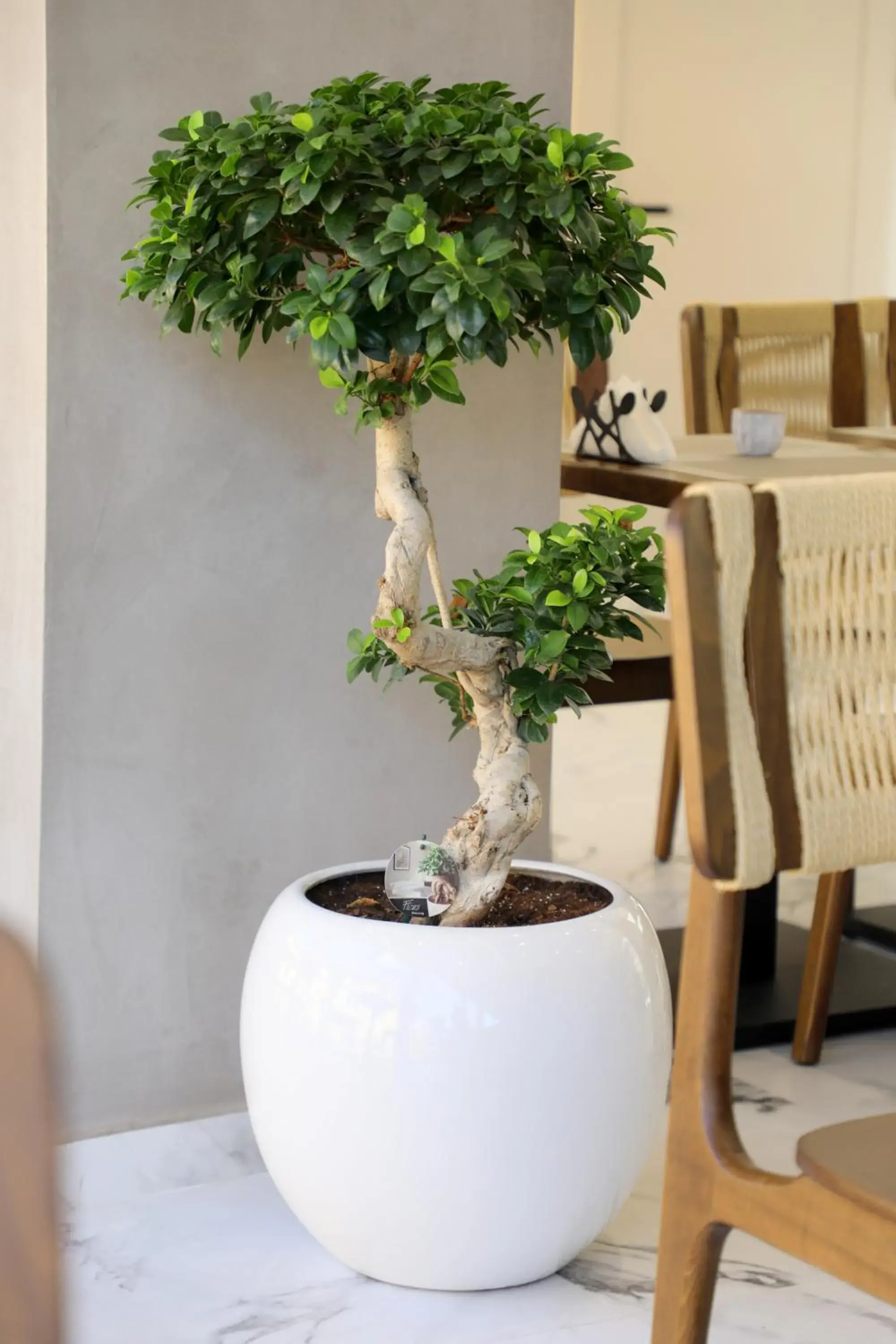 Lounge or bar in Niklas Boutique Hotel Lounge or bar in Niklas Boutique Hotel