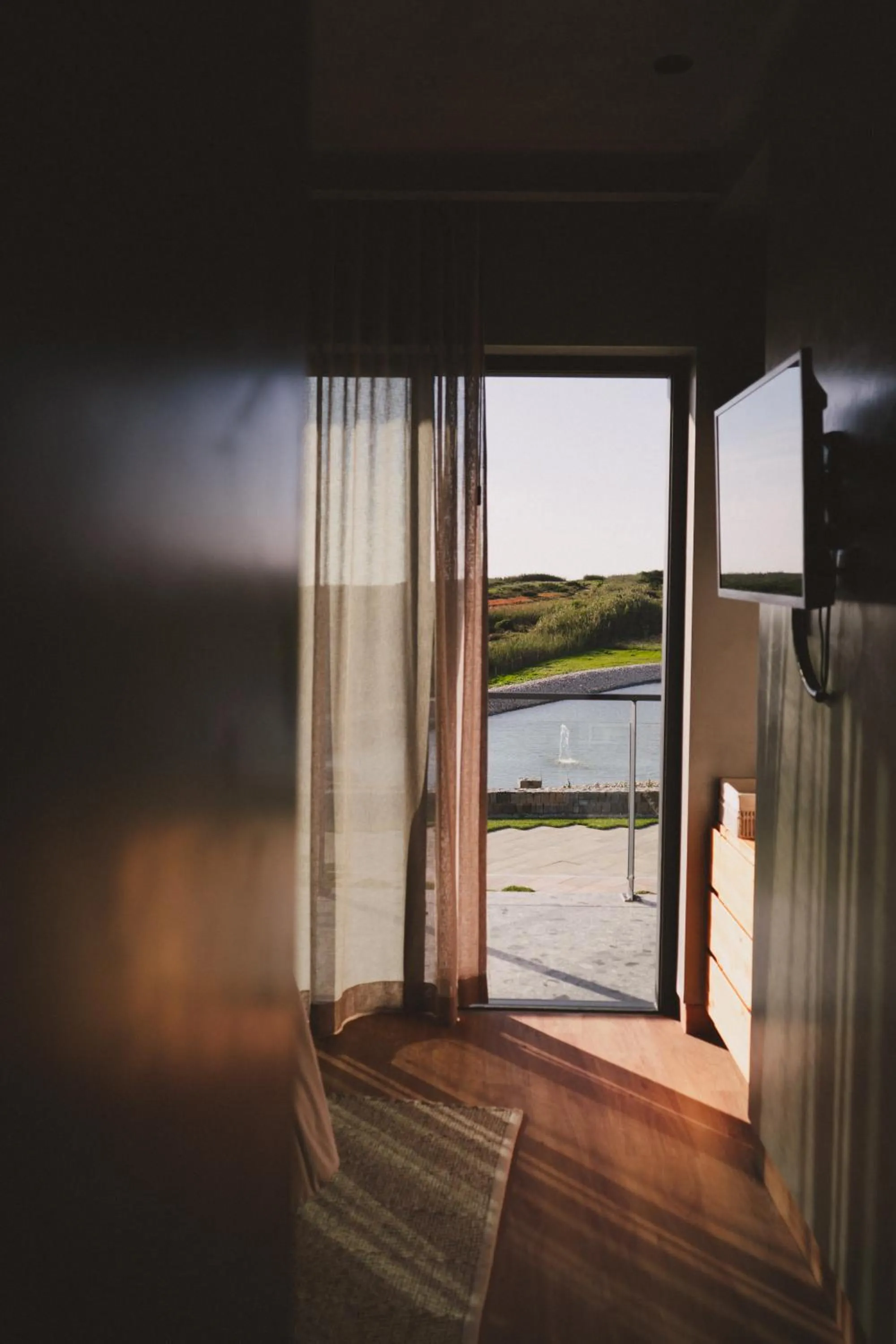 View (from property/room) in Santa Cruz - Movement & Nature House