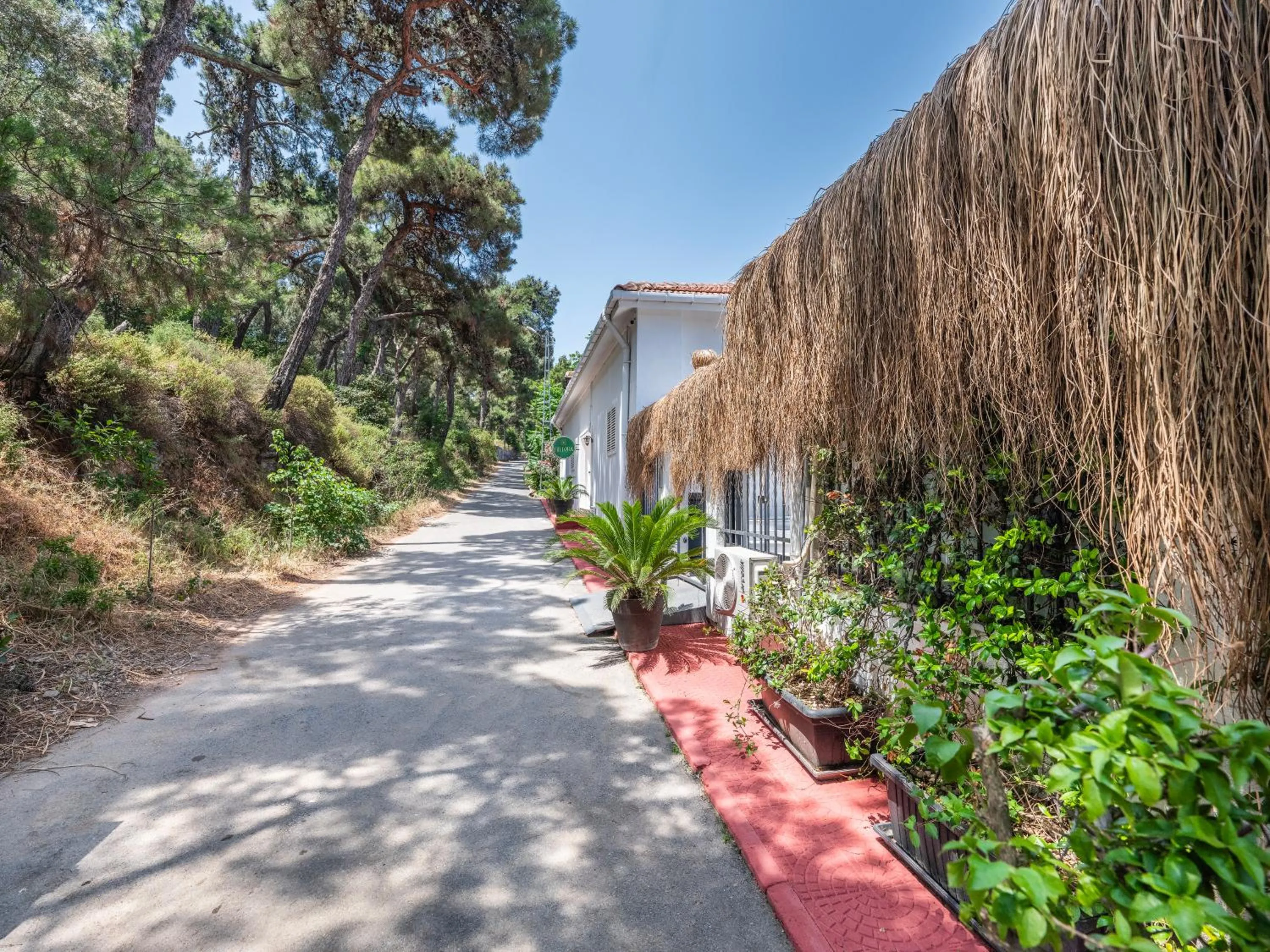 Property building in Hillora Hotel Buyukada
