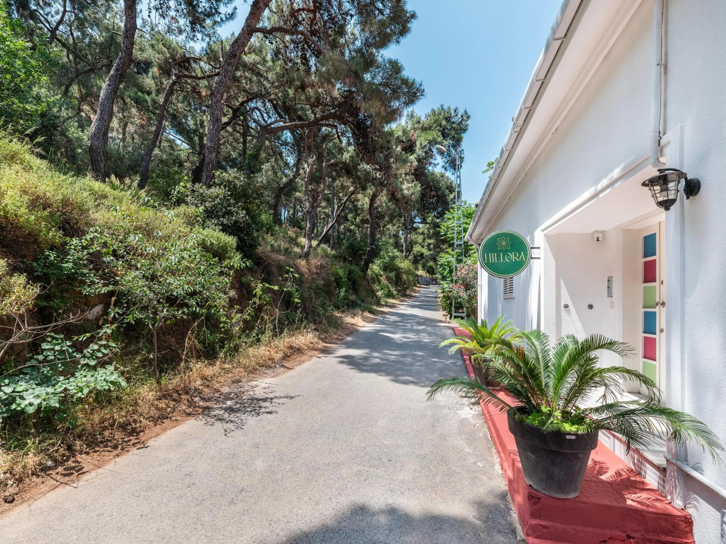 Property building in Hillora Hotel Buyukada