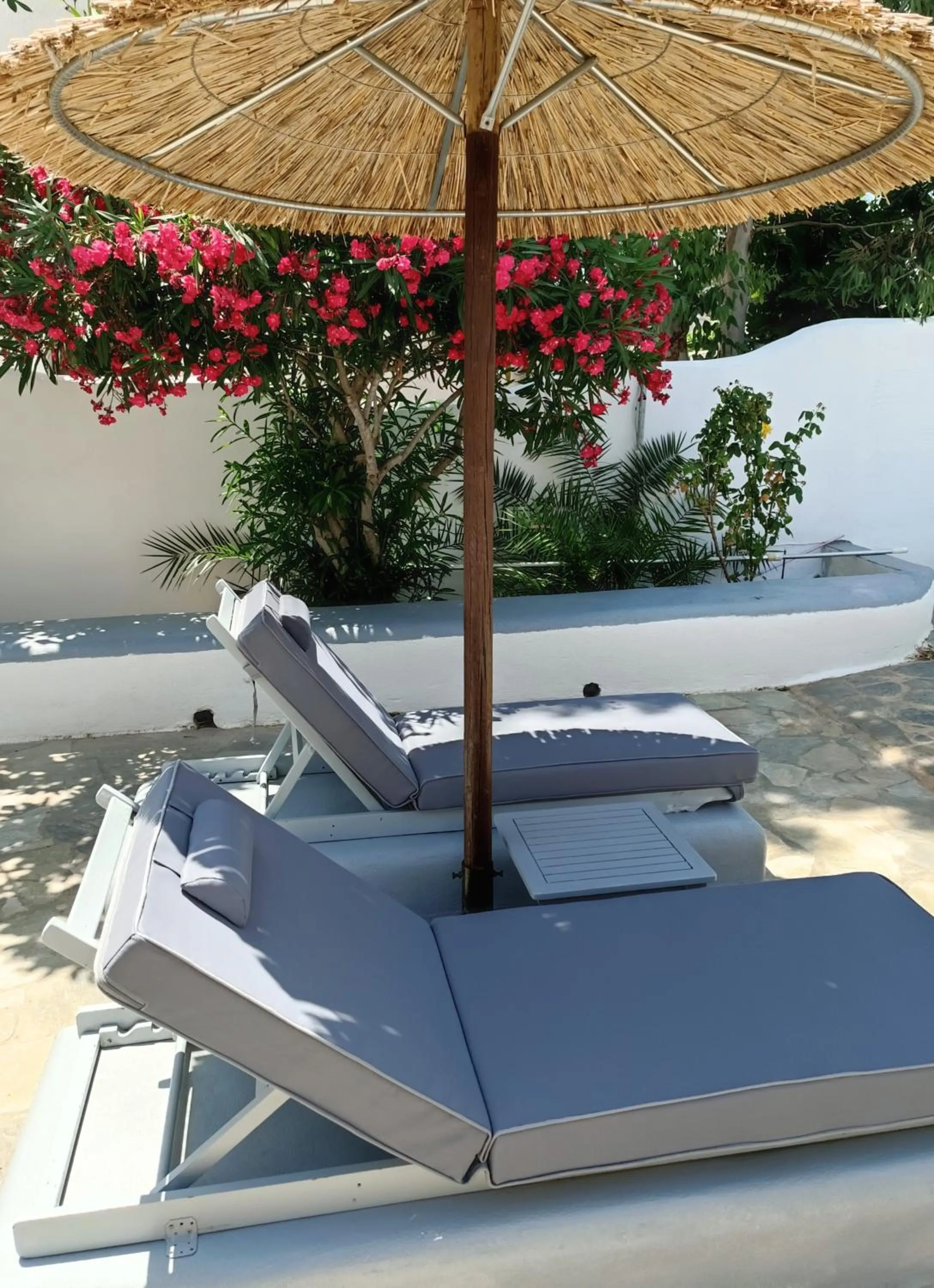 Area and facilities in Naxos Summerland resort