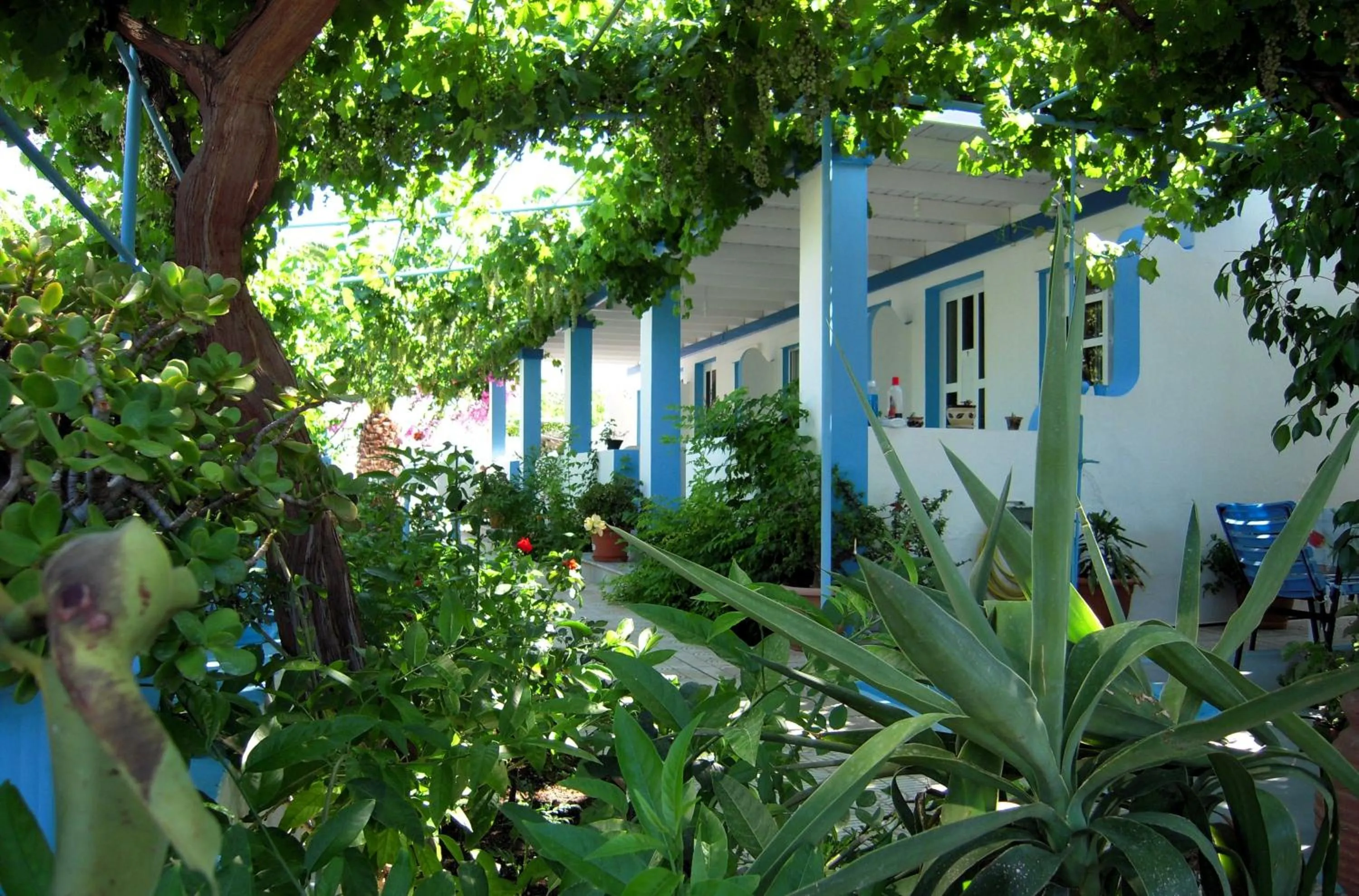 Aegean Studios