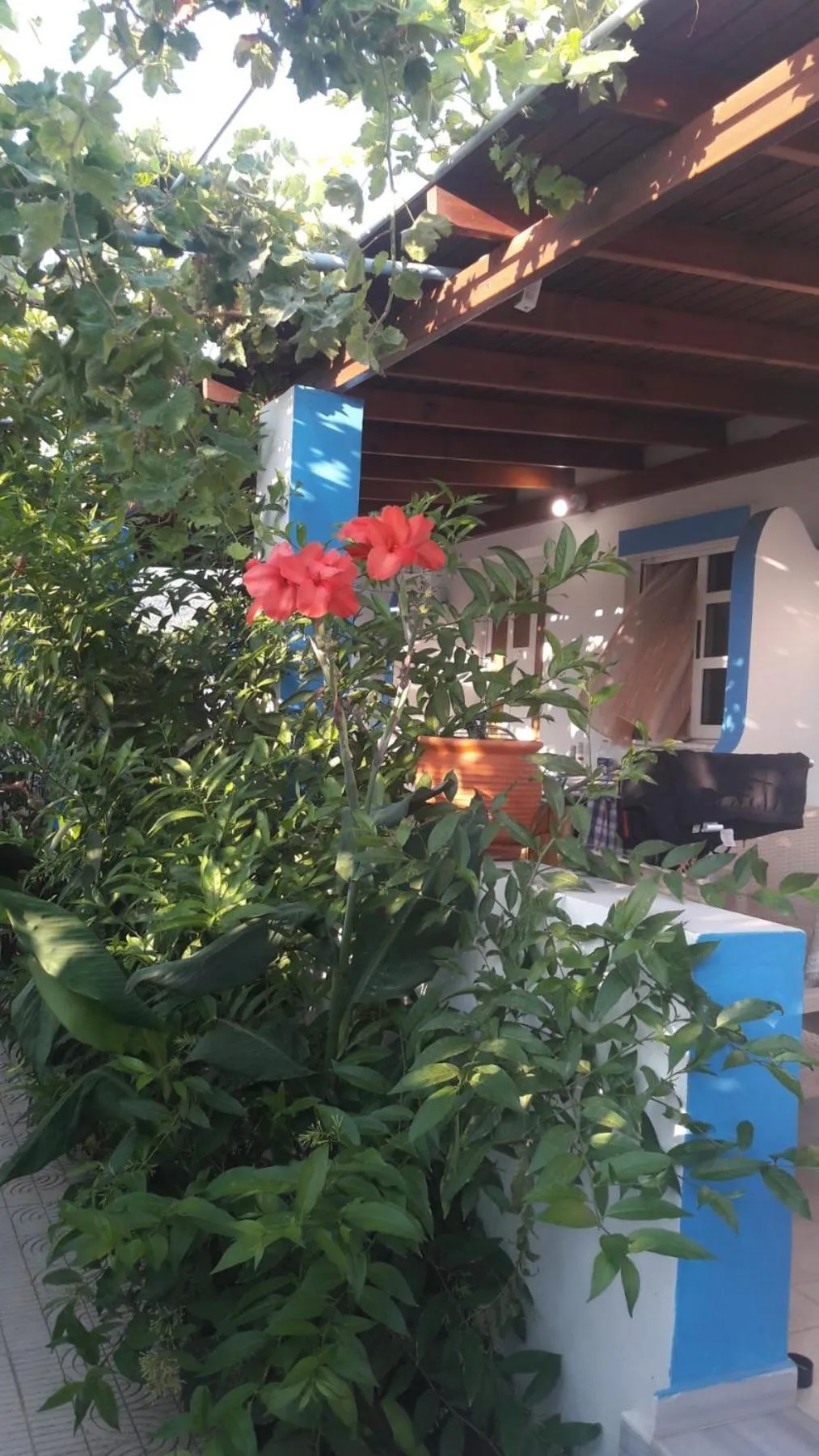 Aegean Studios