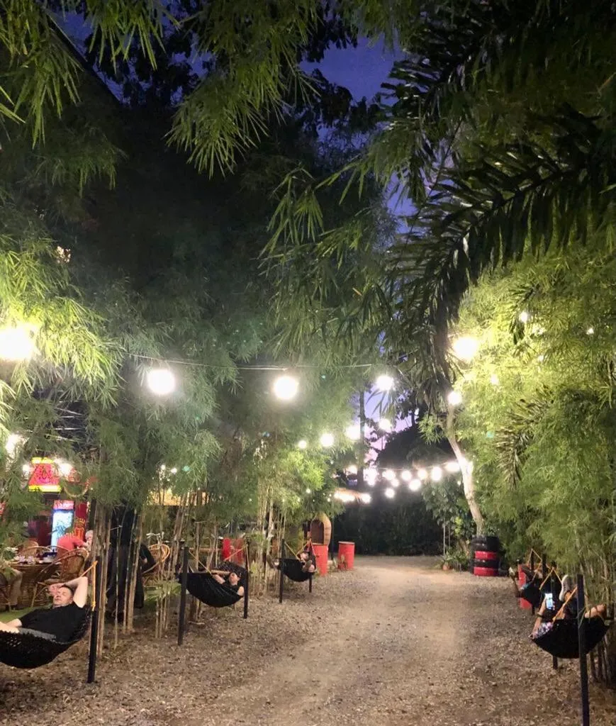 Garden in Cafe Moto Hostel
