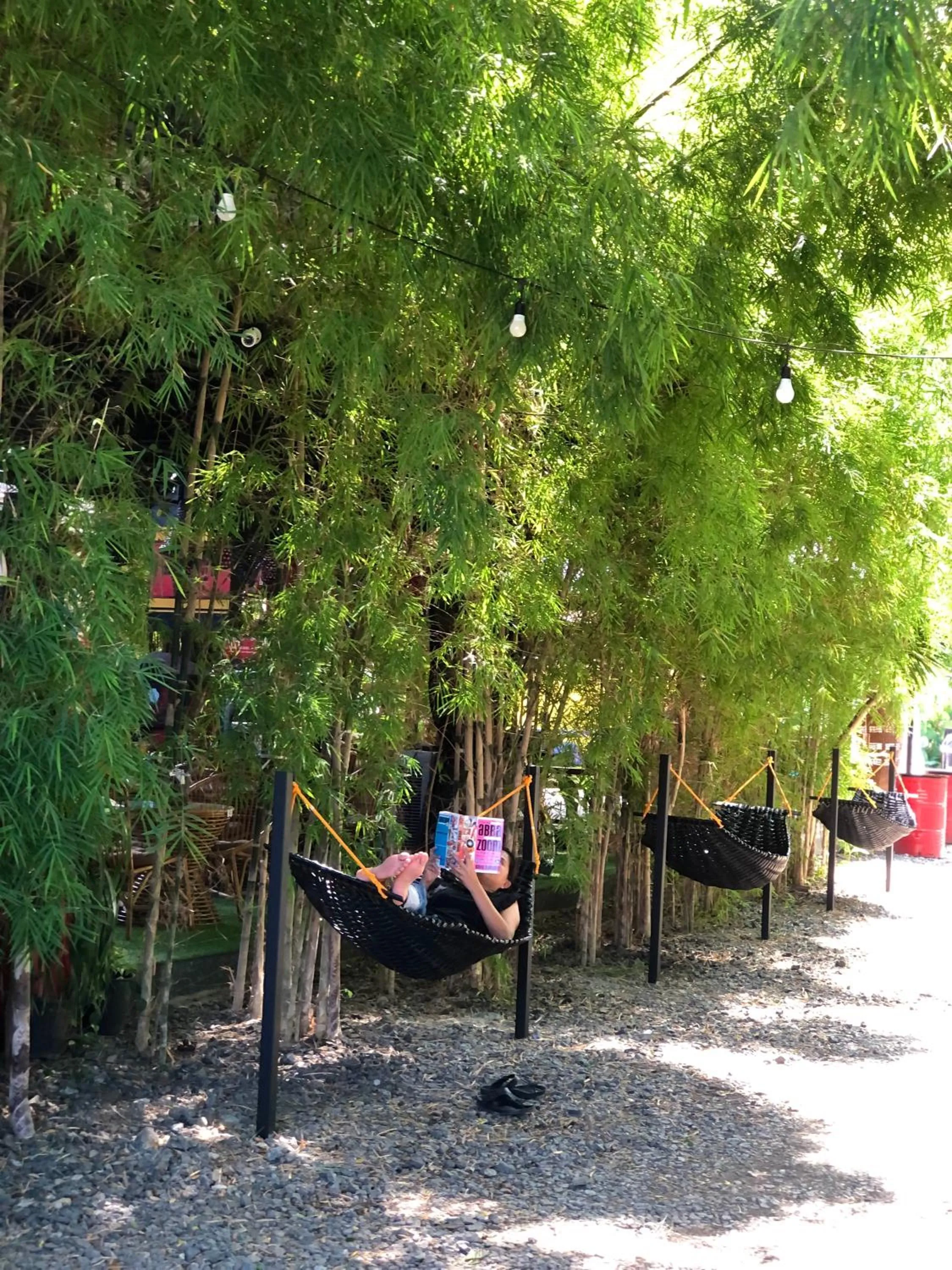 Garden in Cafe Moto Hostel