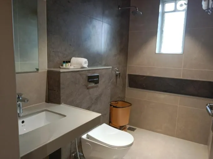 Toilet in Narayani Executive