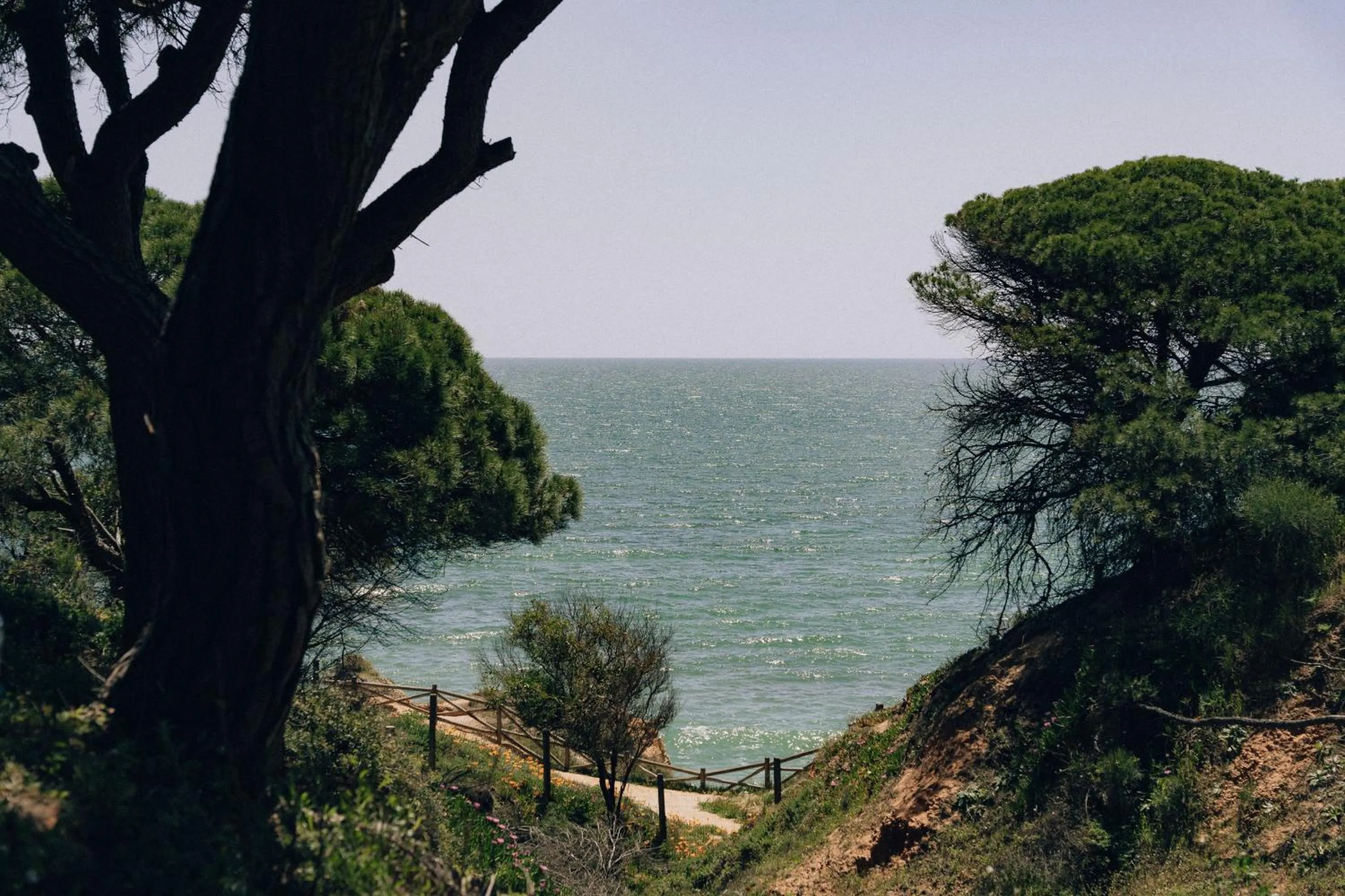 Nearby landmark in Masana Algarve