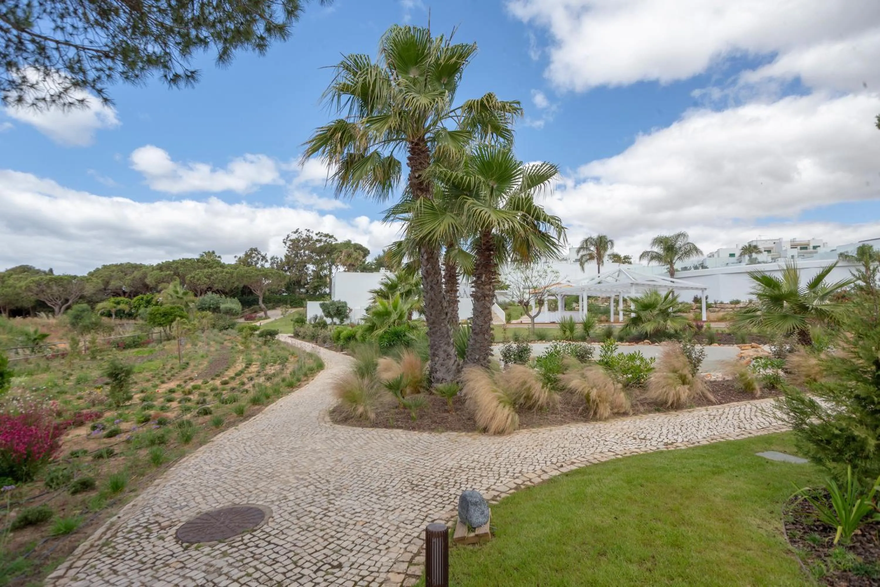 Garden view in Masana Algarve