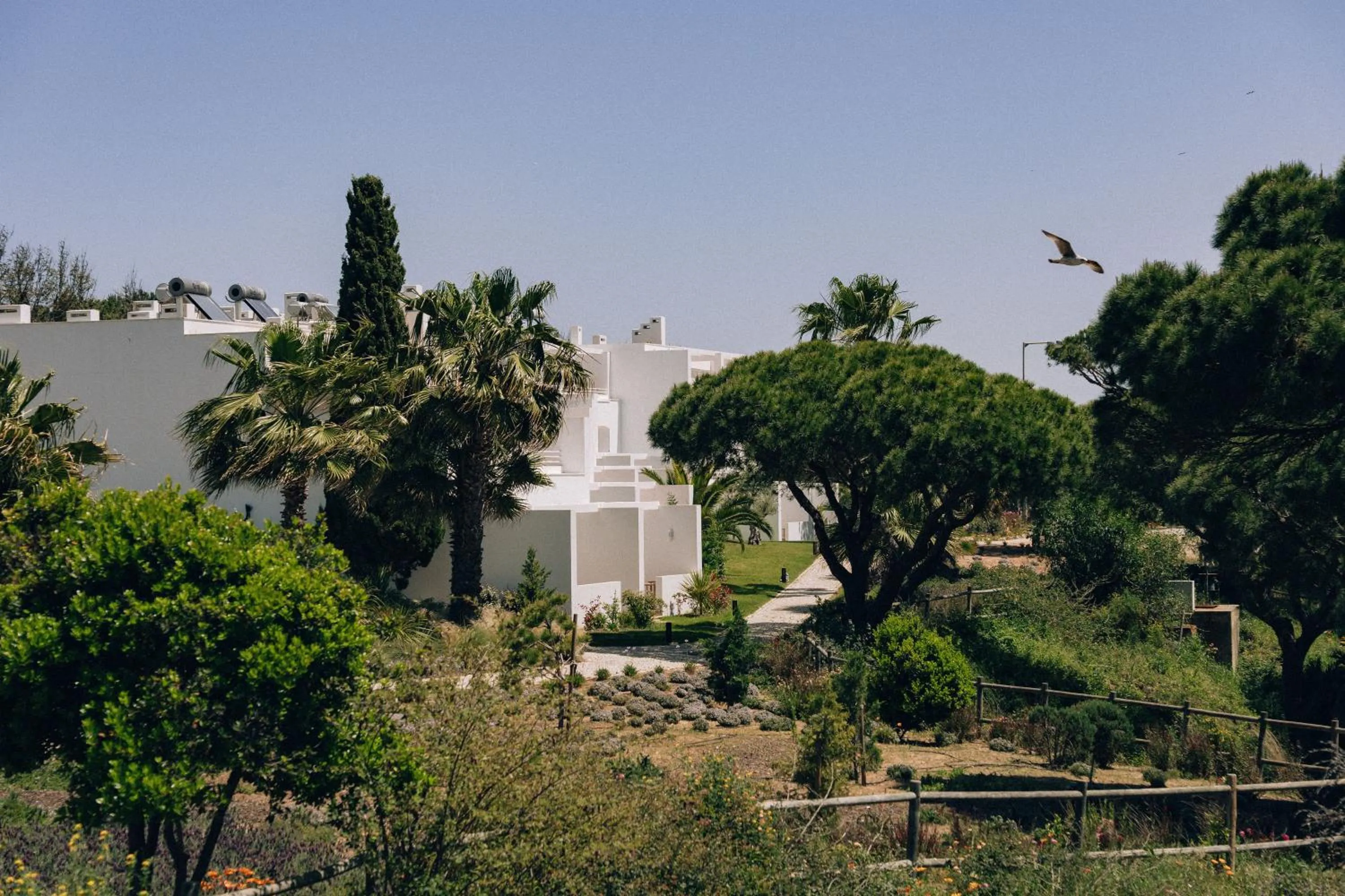 Property building in Masana Algarve