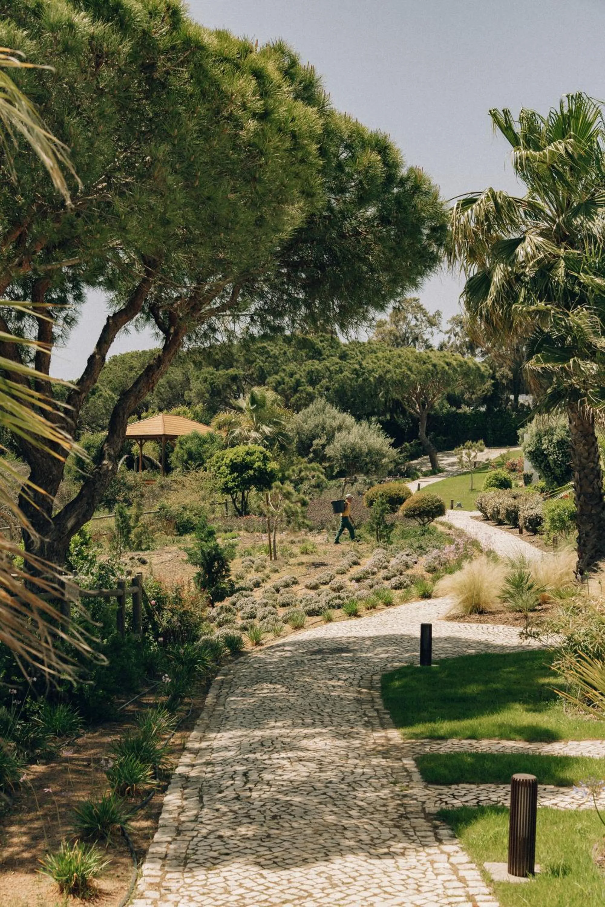 Garden in Masana Algarve