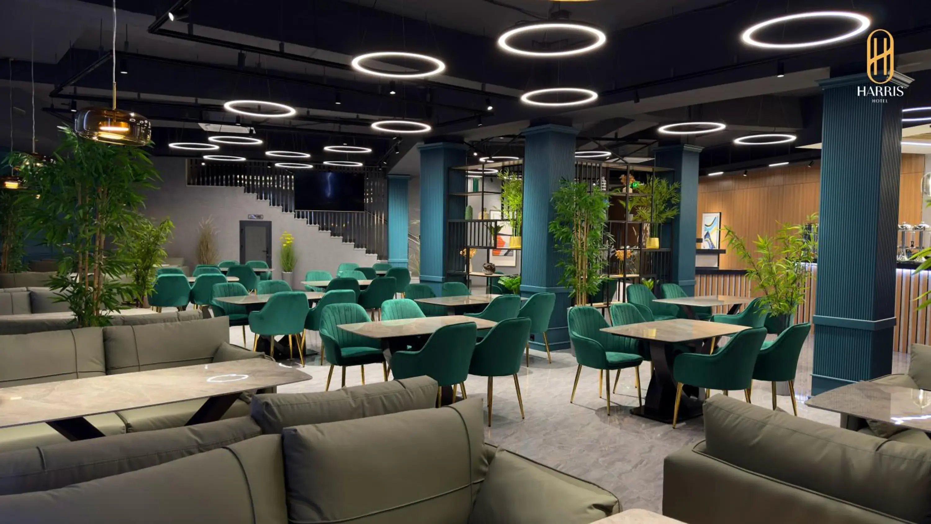 Restaurant/places to eat in Harris Hotel Spa&Fitness Restaurant/places to eat in Harris Hotel Spa&Fitness