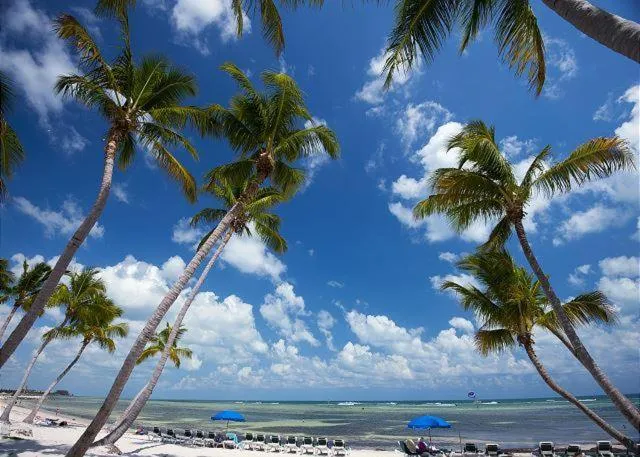 Ocean View