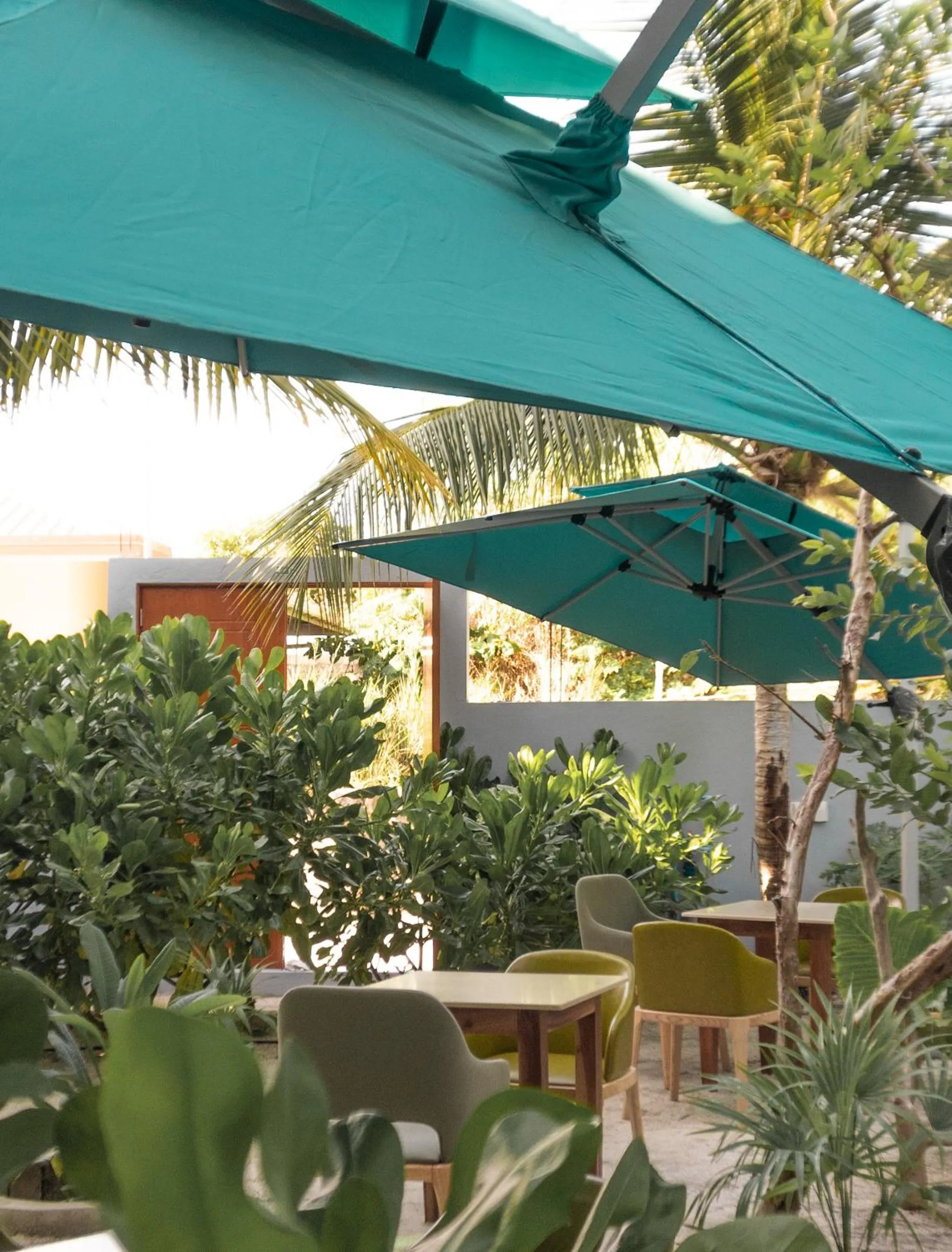 Restaurant/places to eat in BAGEECHAA STAY