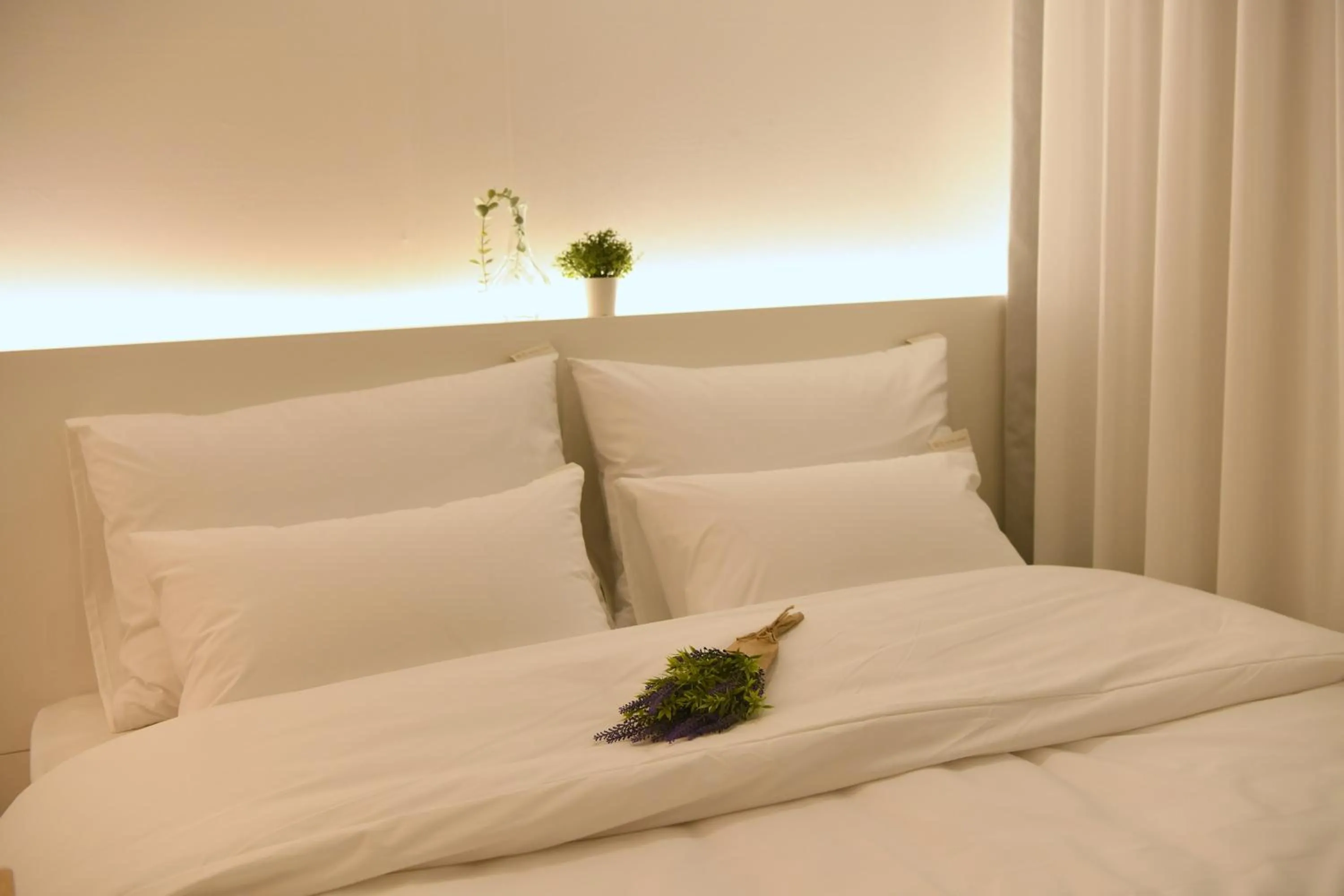 Hotel Rawa