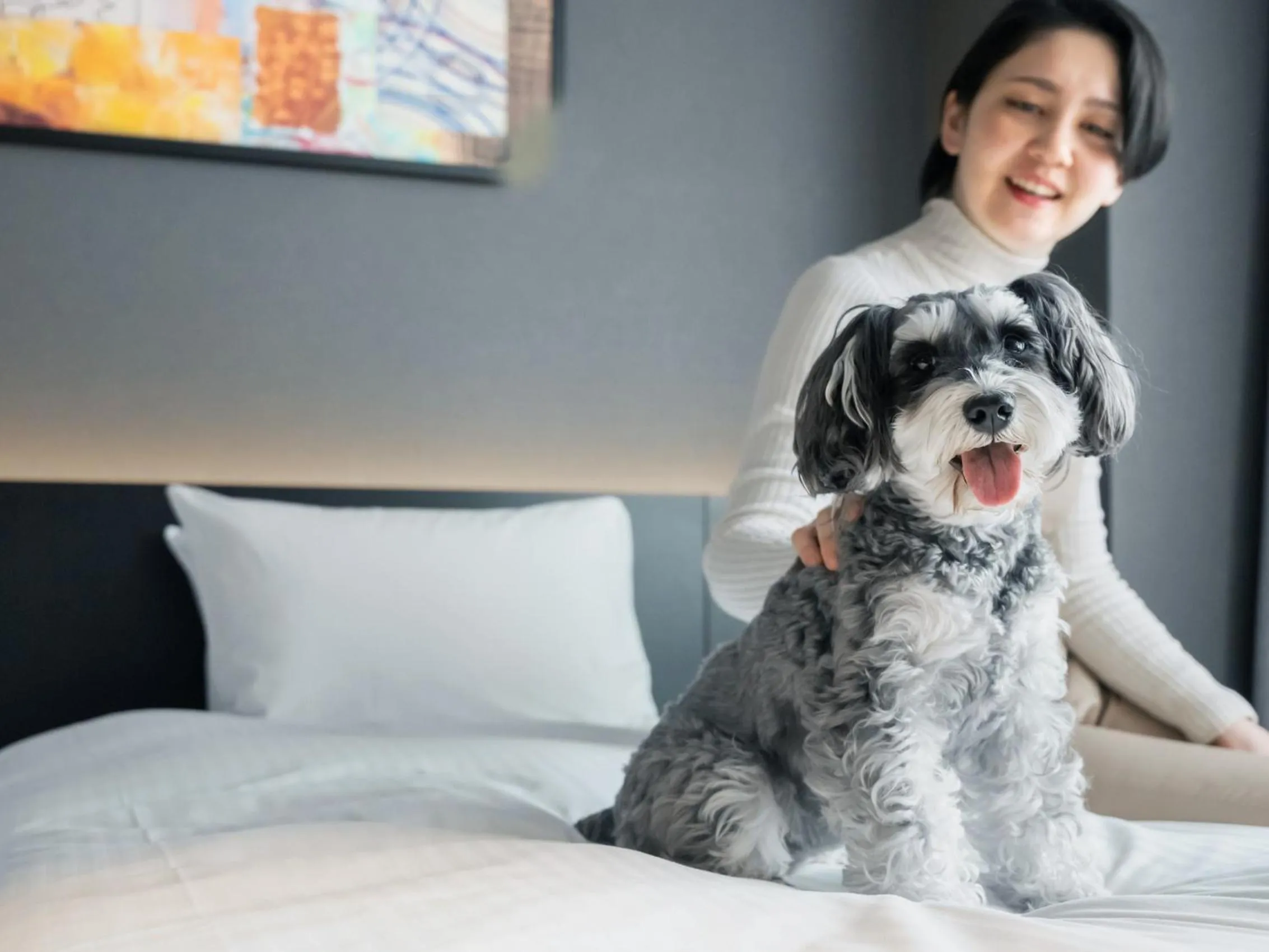 Pets in hotel anddoggy Kyoto Nijo