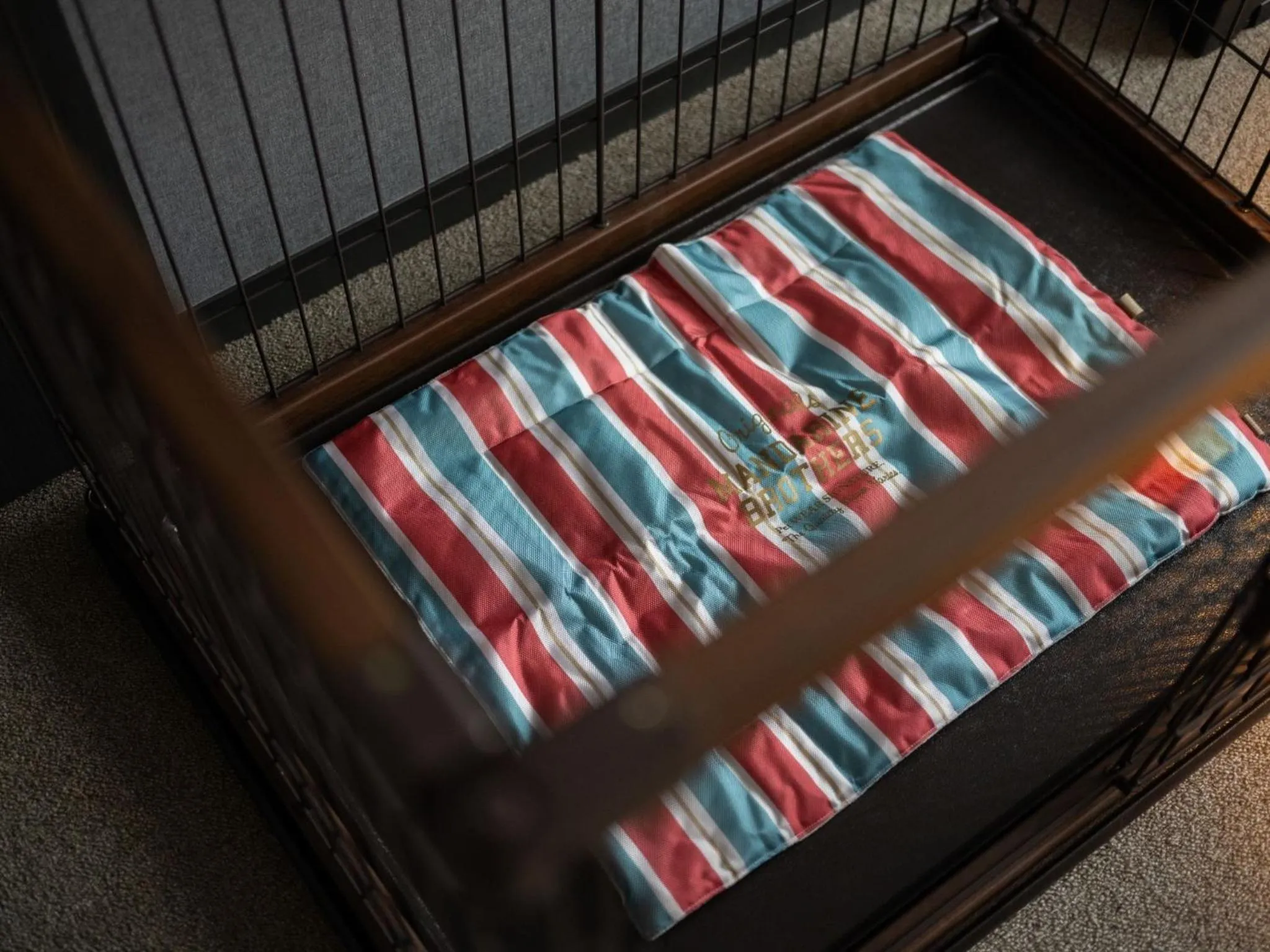 hotel anddoggy Kyoto Nijo