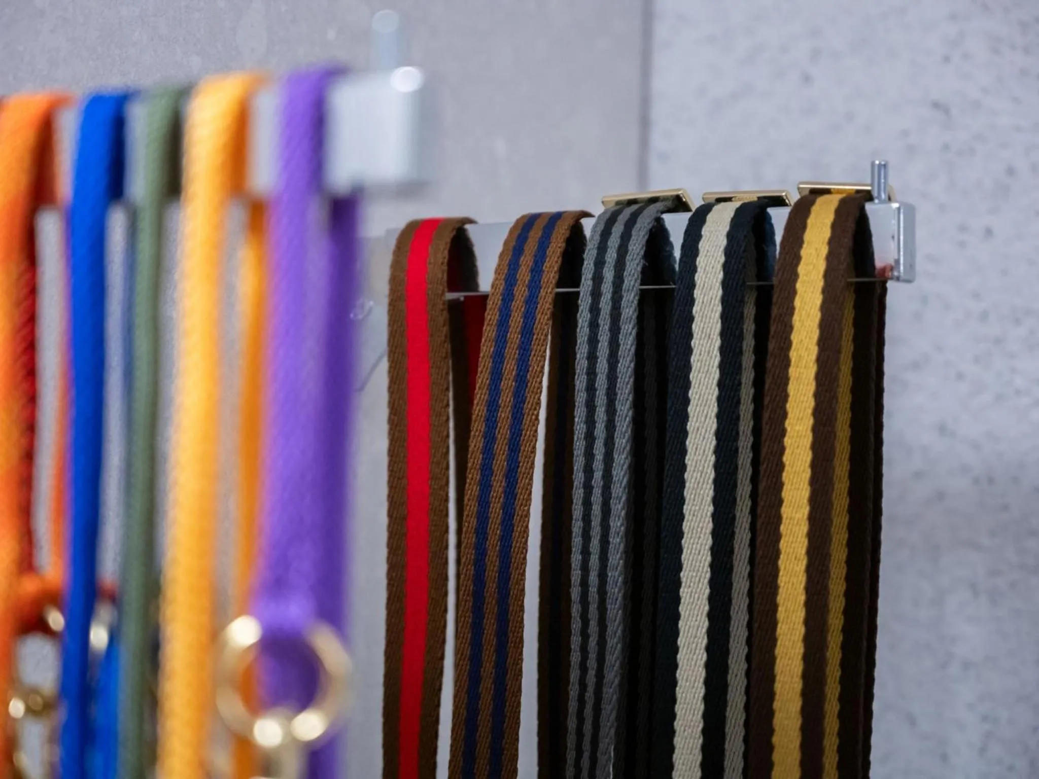 hotel anddoggy Kyoto Nijo