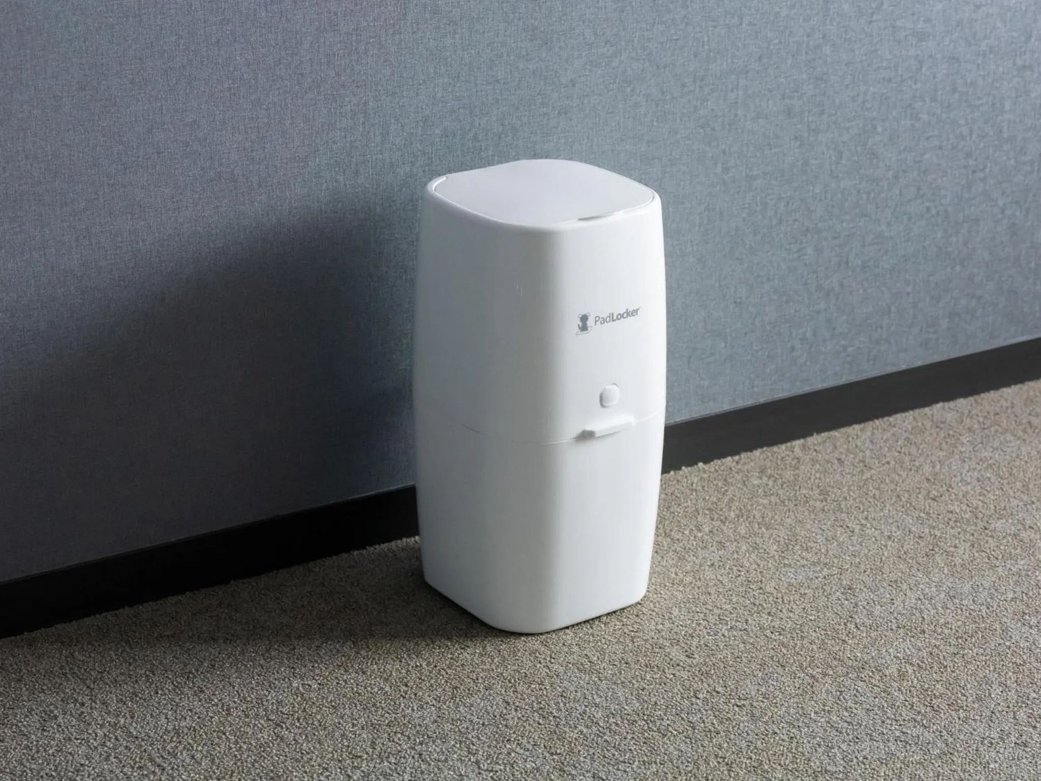 Pets in hotel anddoggy Kyoto Nijo